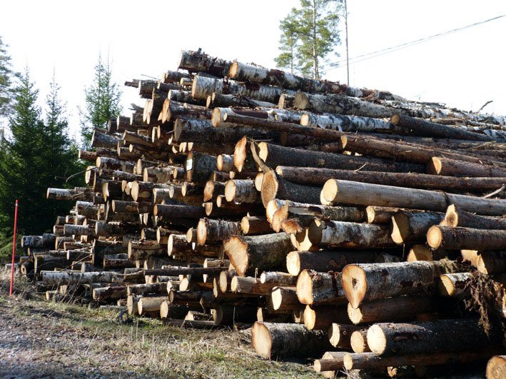 Log_piles_Finland_forestry.jpg
