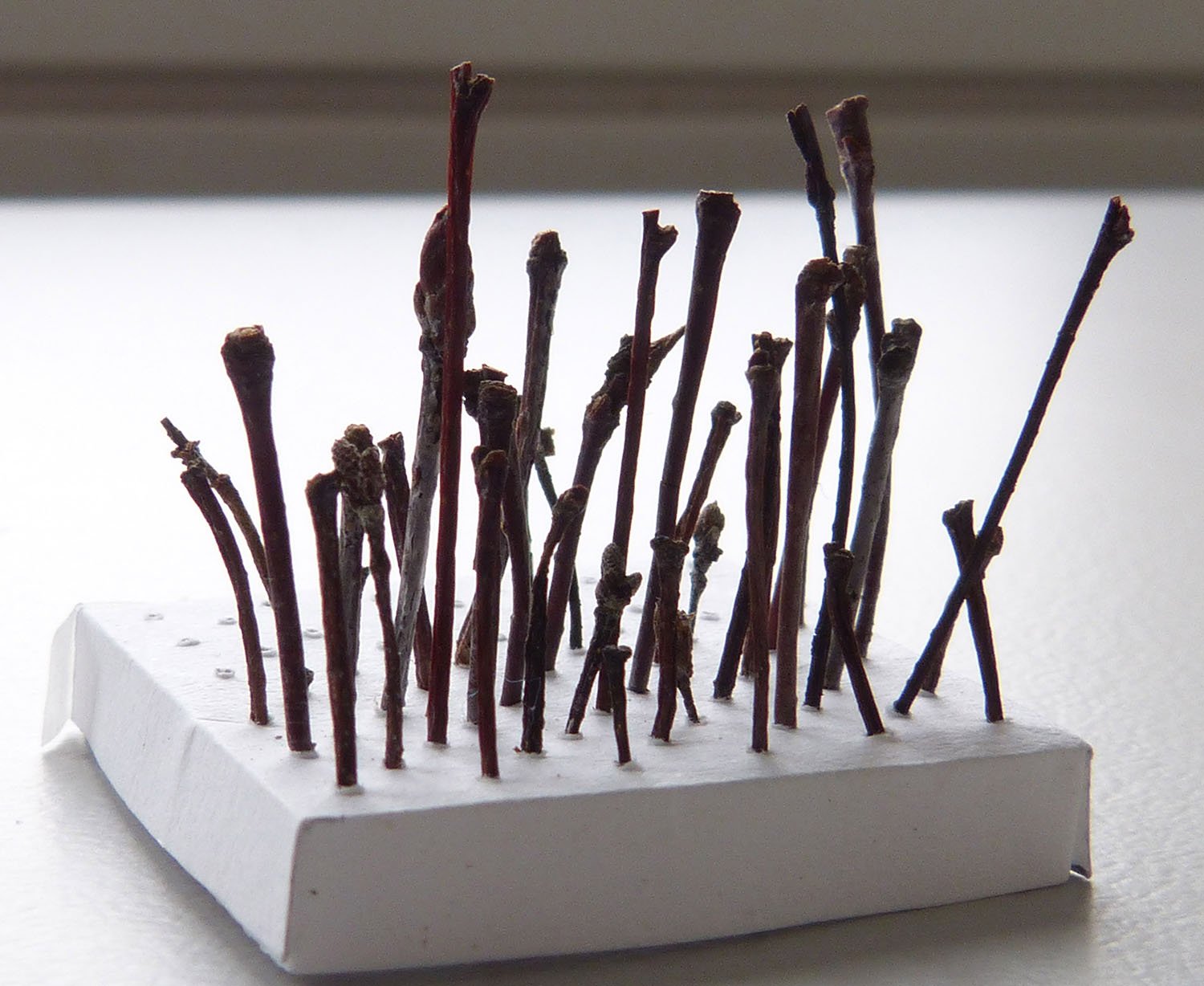 Sculpture_order_and_chaos_mini_trees.jpg