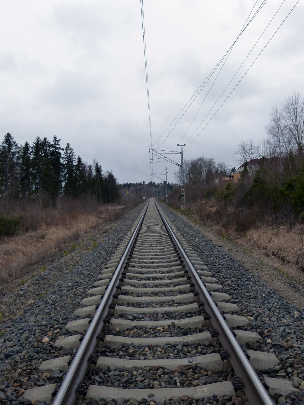Train-tracks-Finland.jpg