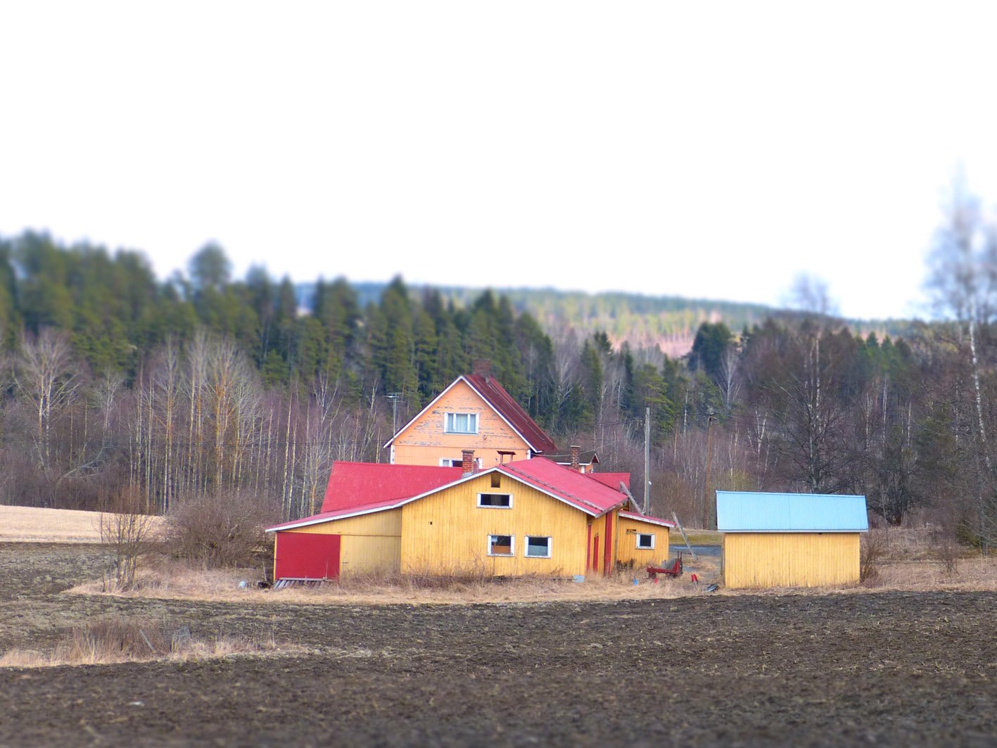 Afternoon-walk-with-houses-finland-countryside.jpg