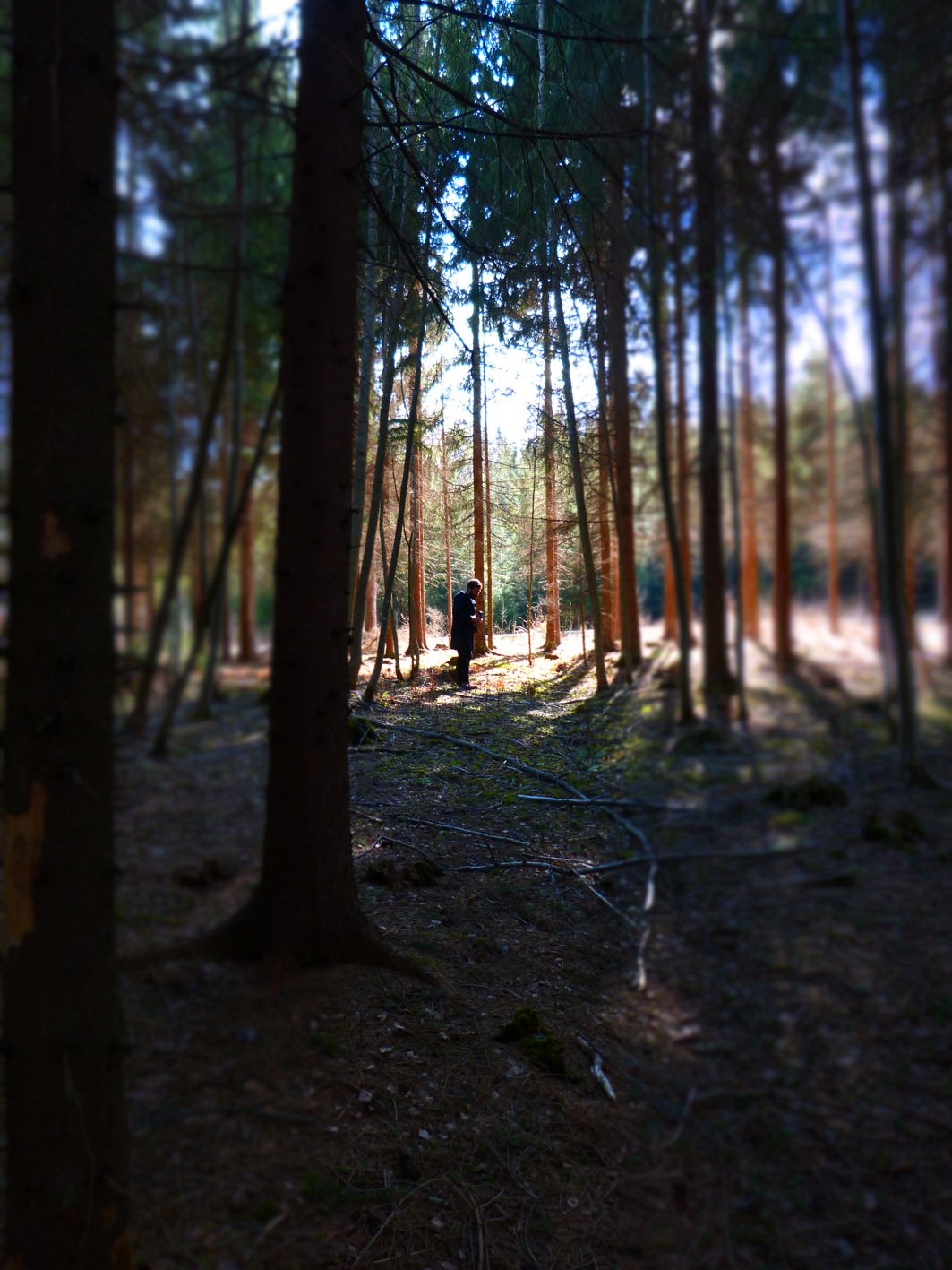 Forest-walker.jpg