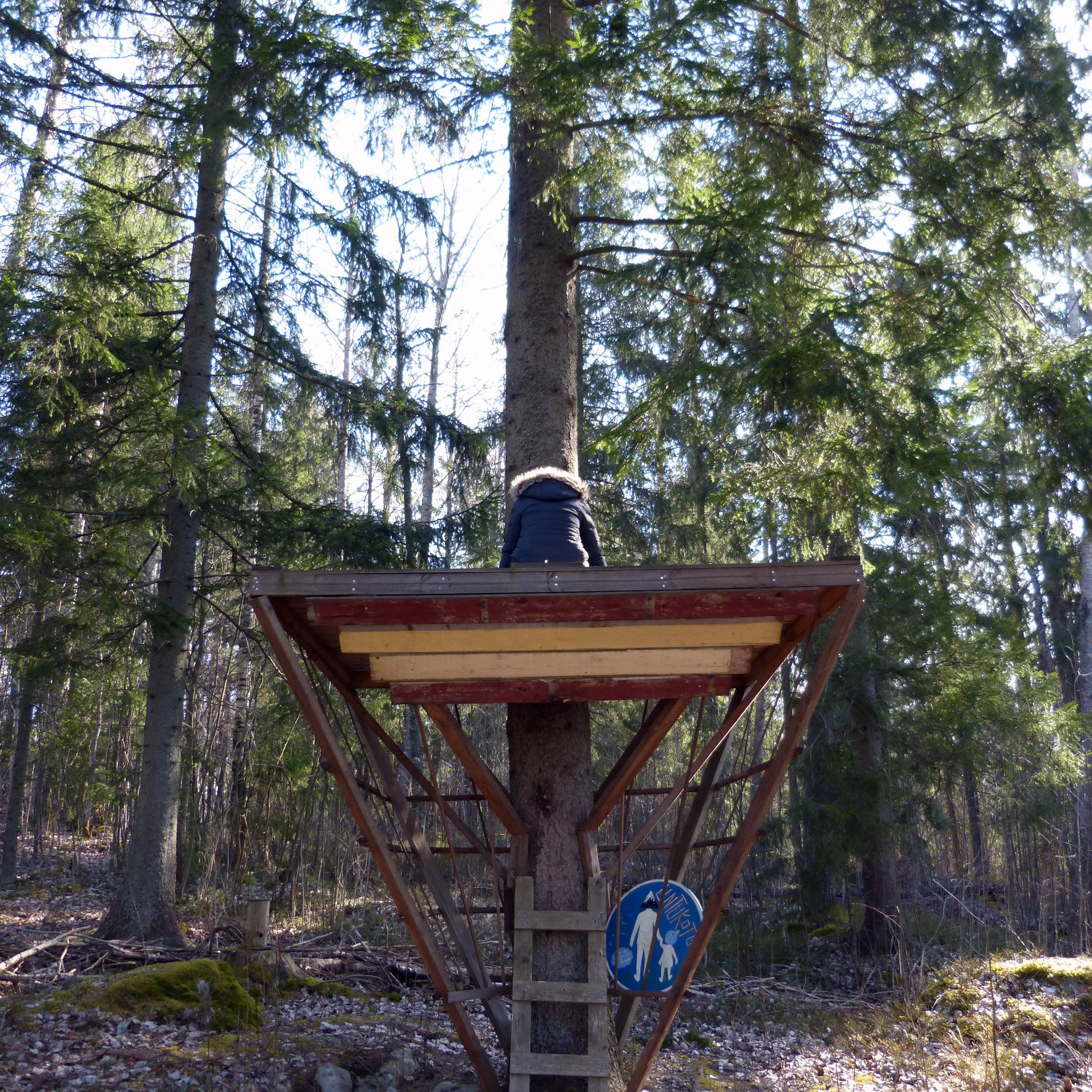 Me in a tree house during my last Finland forest walk