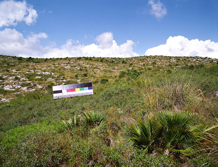 Estudi sobre el paisatge, Carta de colors, 12.jpg