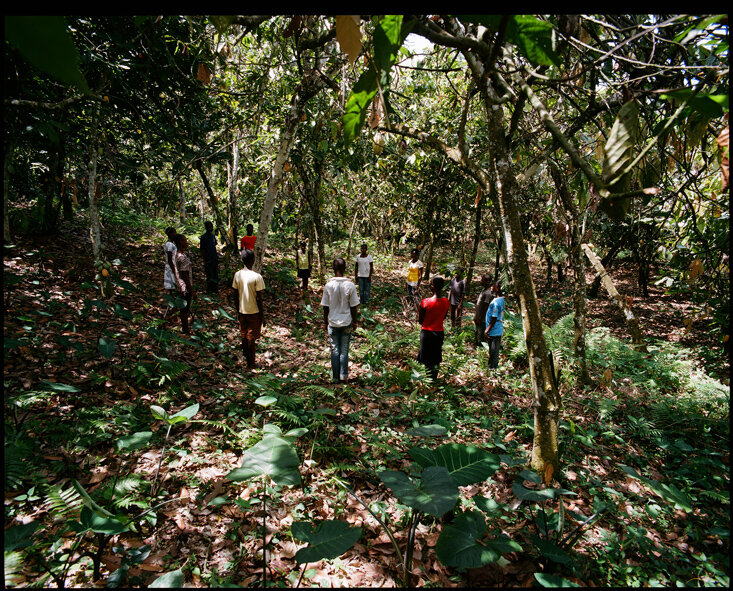 01, Cercles en el bosc, Ed dos Santos.jpg