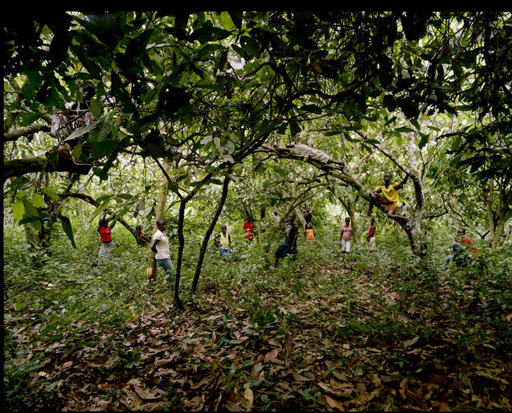 11, Cercles en el bosc, Ed dos Santos.jpg