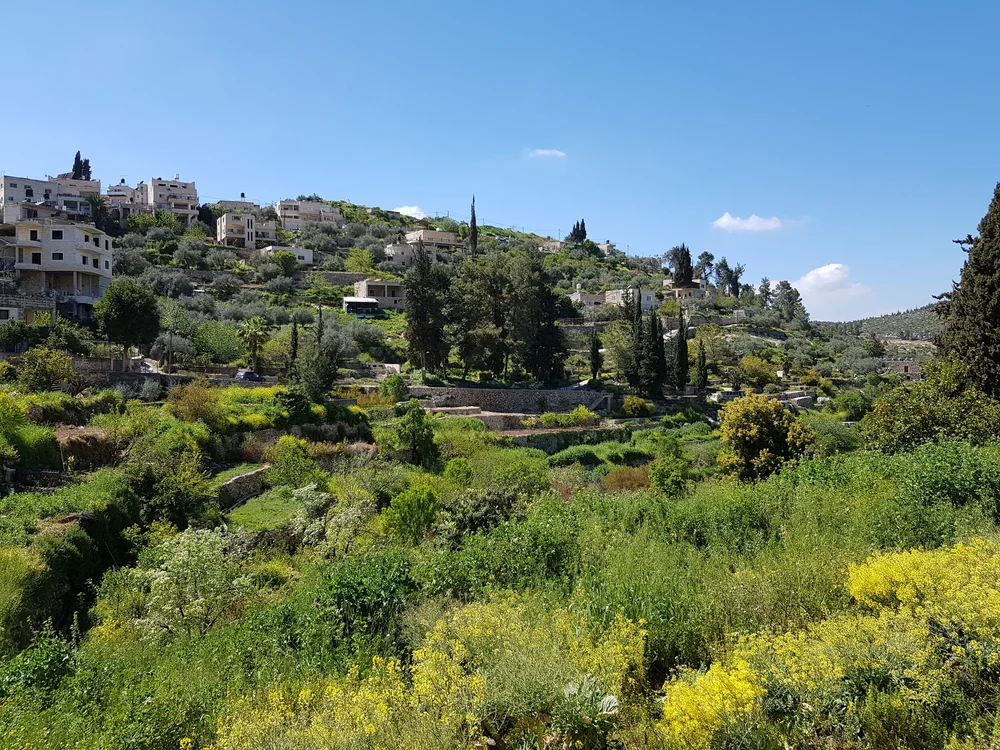 STAFF — The Britain Palestine Media Centre