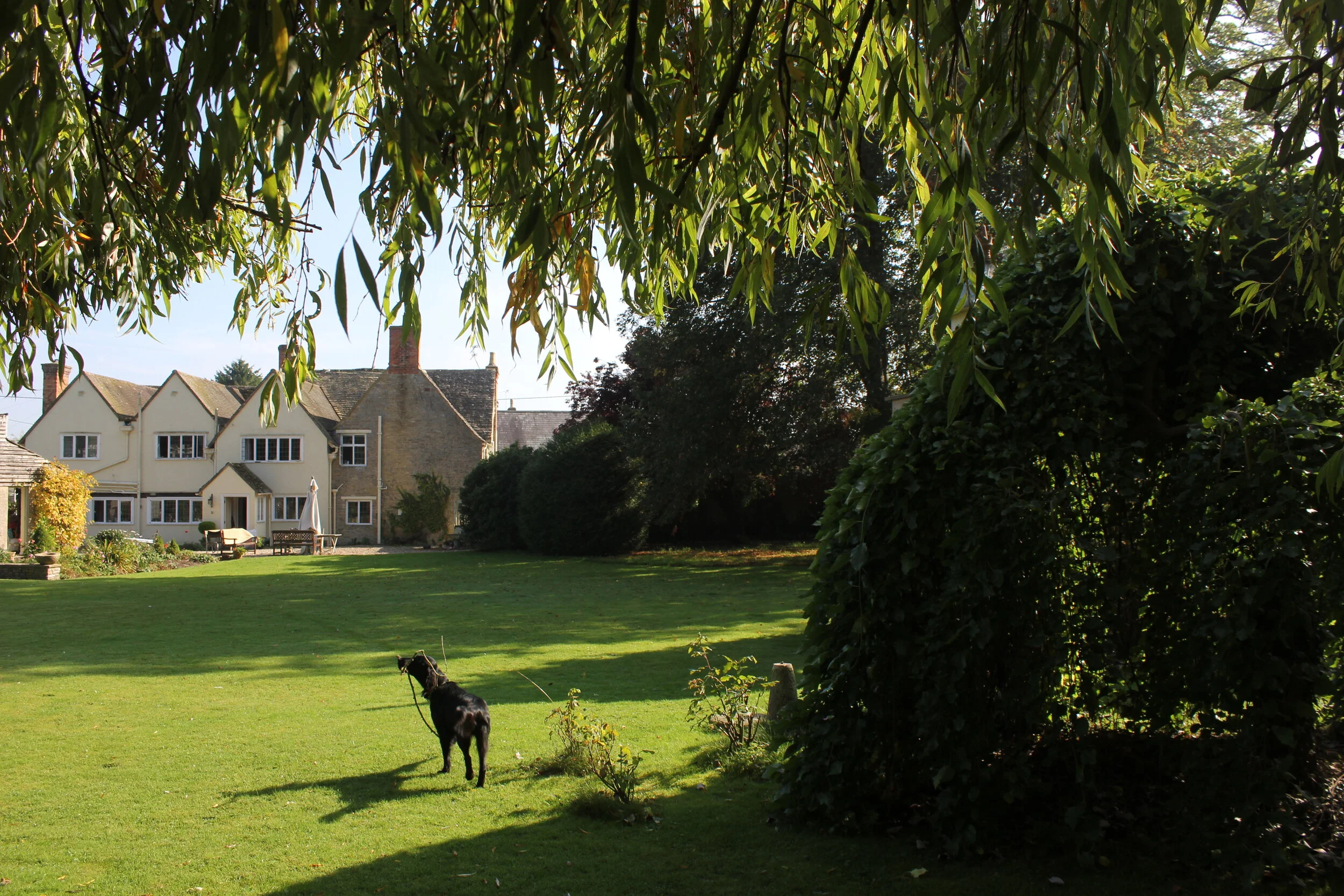 View from the garden