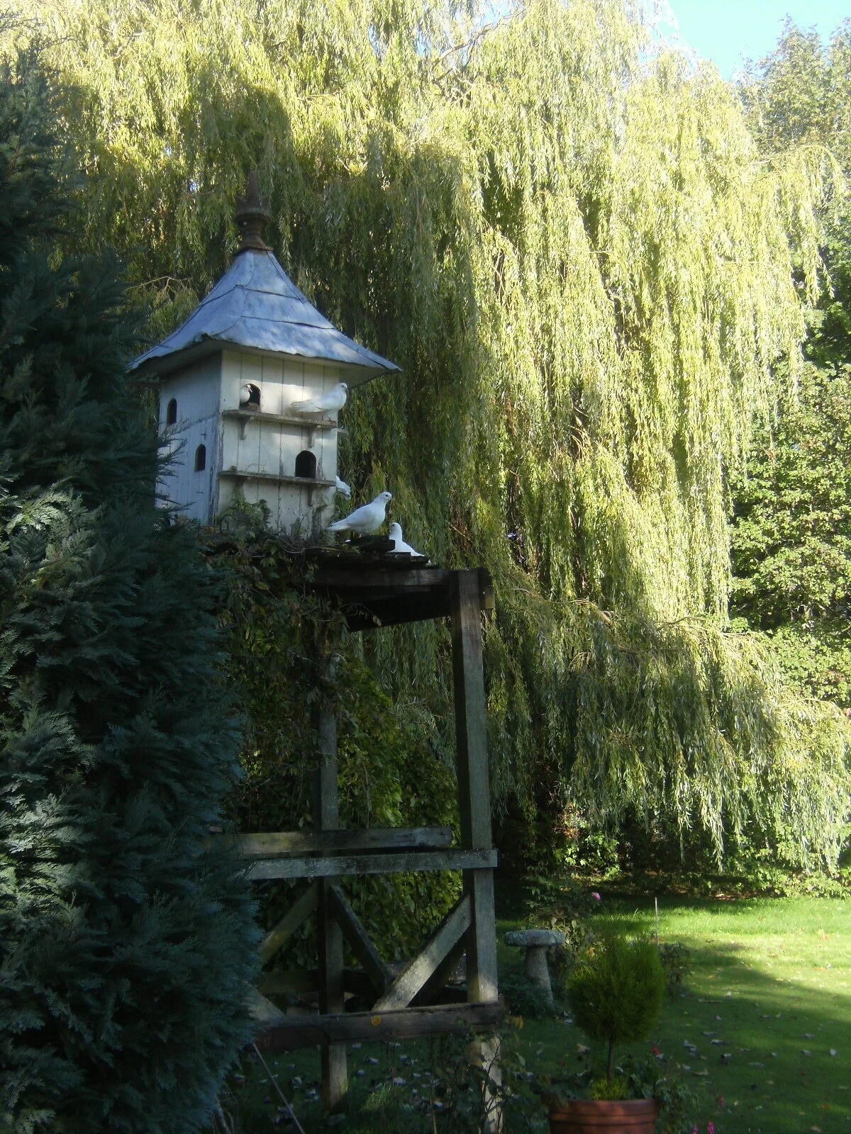 The dovecote