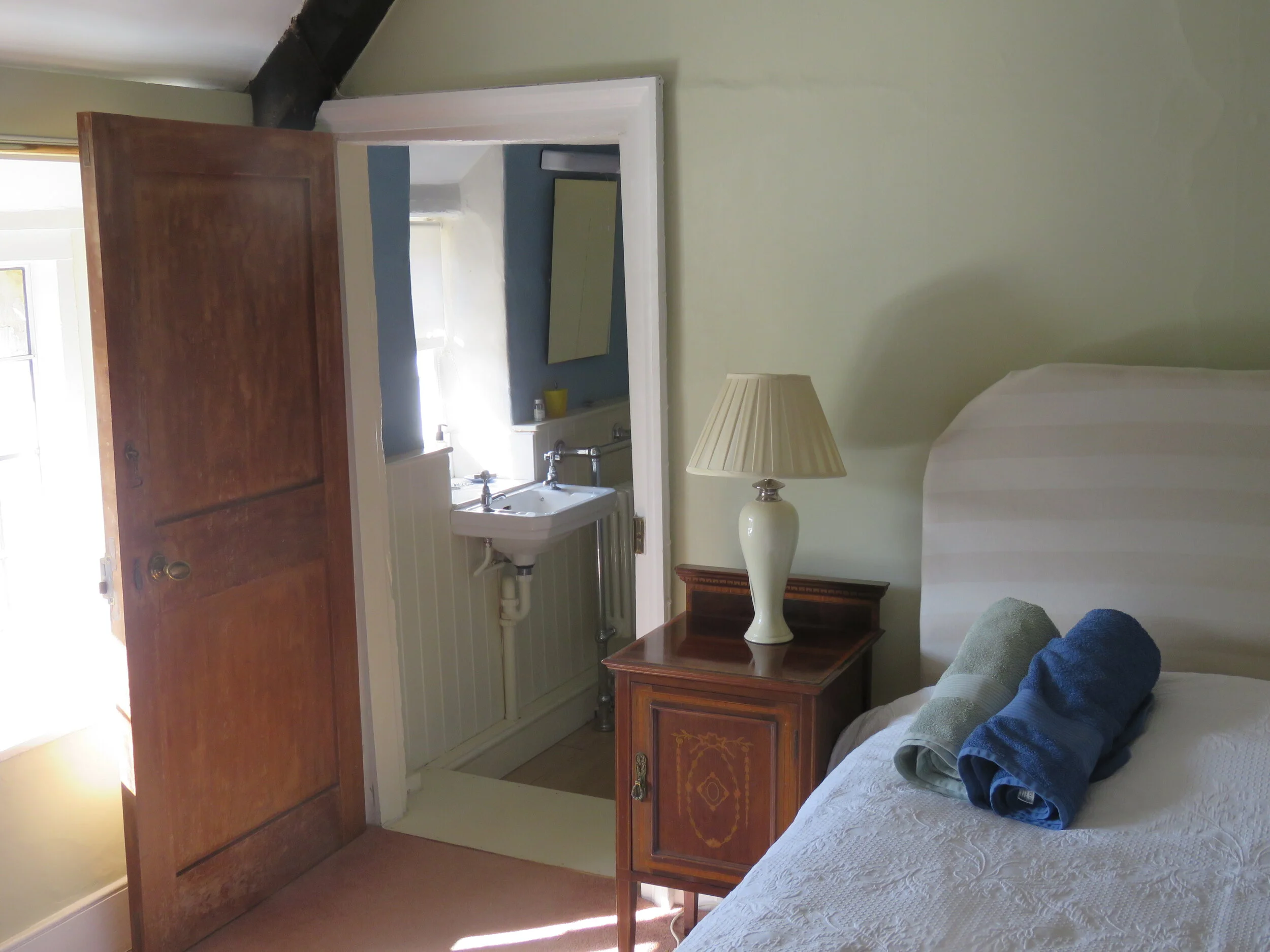 Double en suite with shower (2)