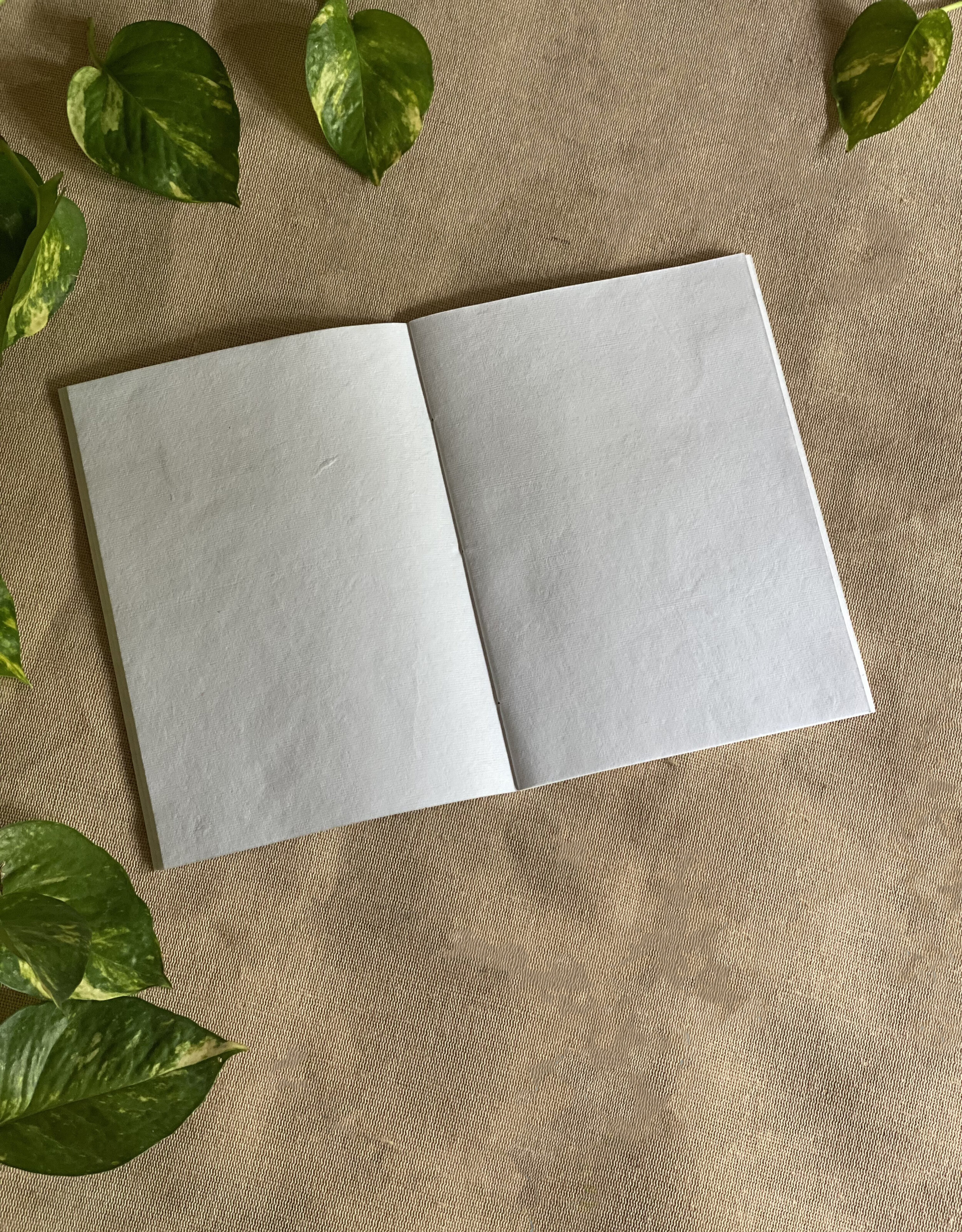 open notebook.jpg