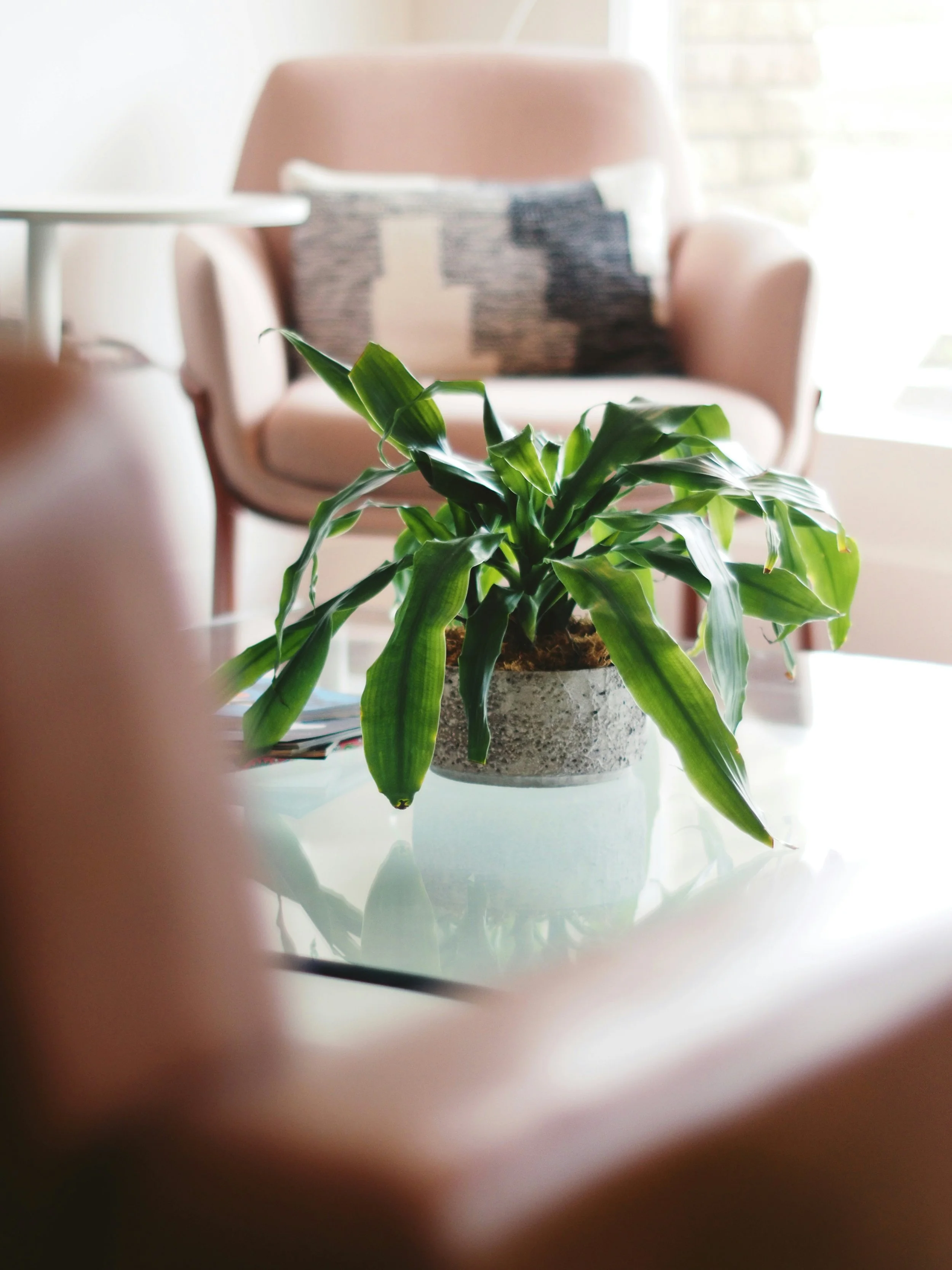Dilnia Counselling - Clinical Supervision in Bermondsey, London