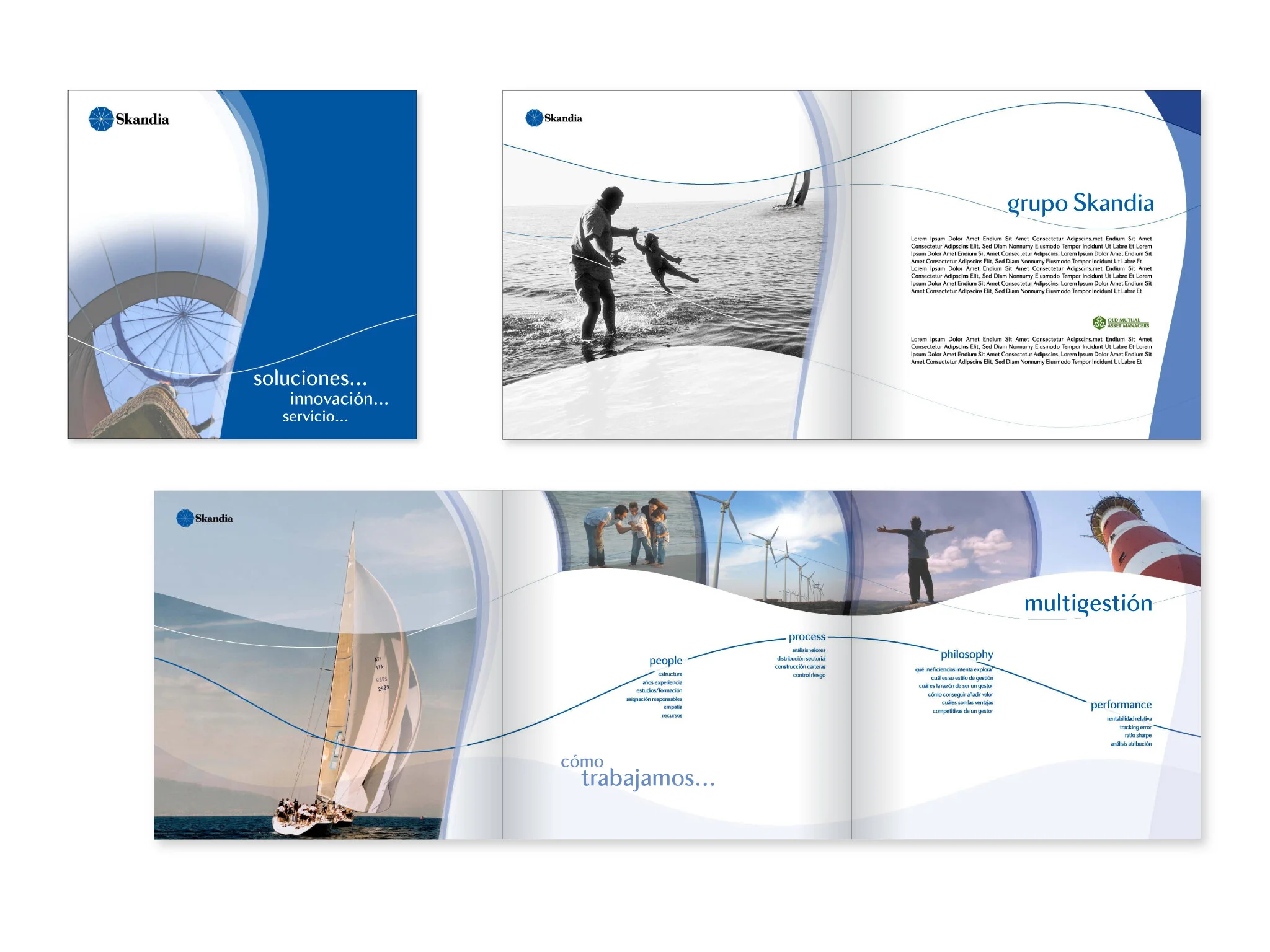 brochure design for skandia life insurance