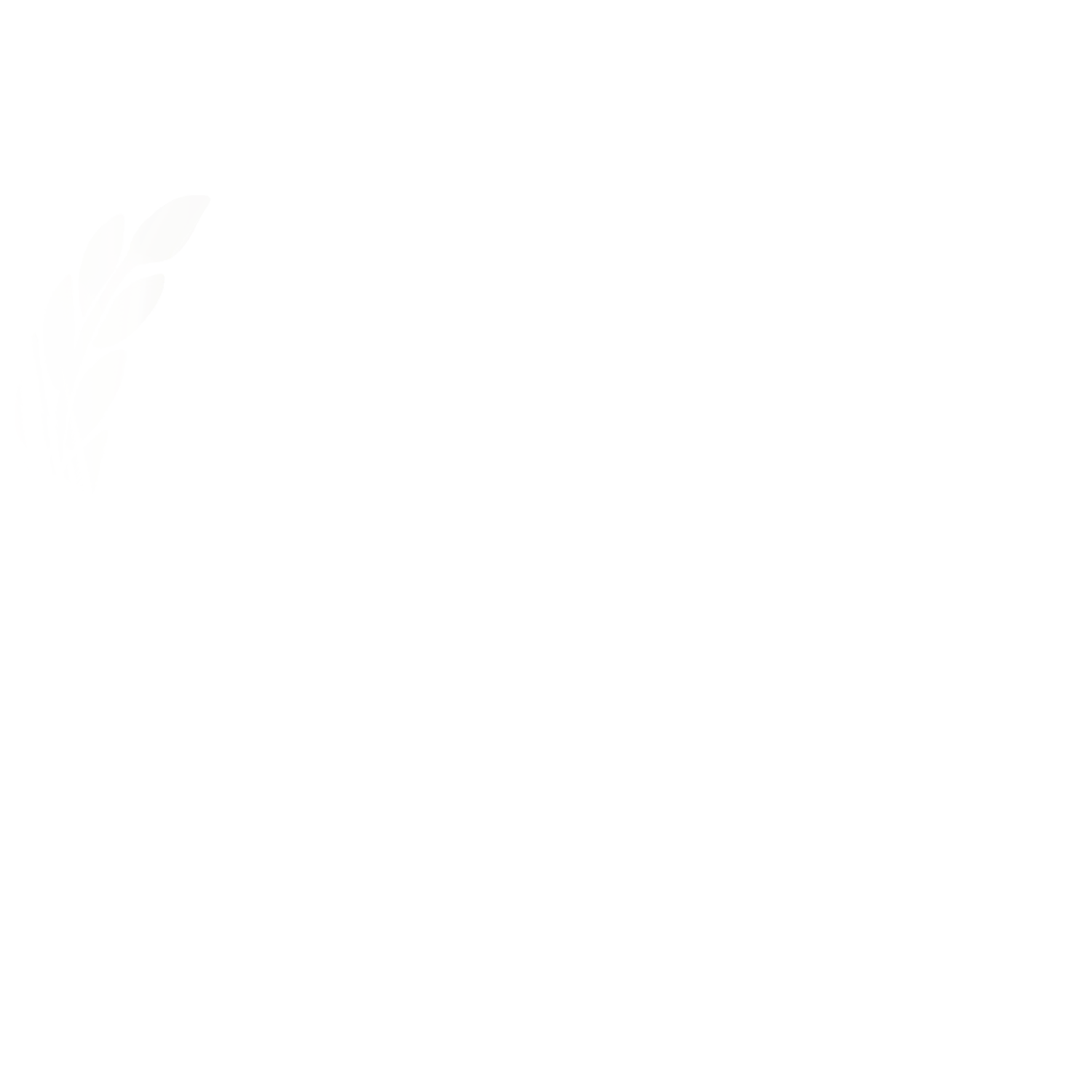 Honourable Mention Snow Leopard International Film Festival 2022