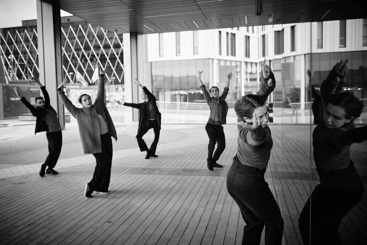 Tread Lightly on the — Dora Frankel