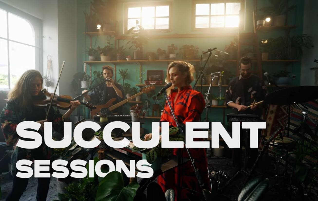 So happy to release our next video from succulent sessions! This time, we had the honor to capture TOTEMO. An amazing Israeli artist. #succulentsessions #totemo #livesessions #tinydeskconcert (link in the bio)