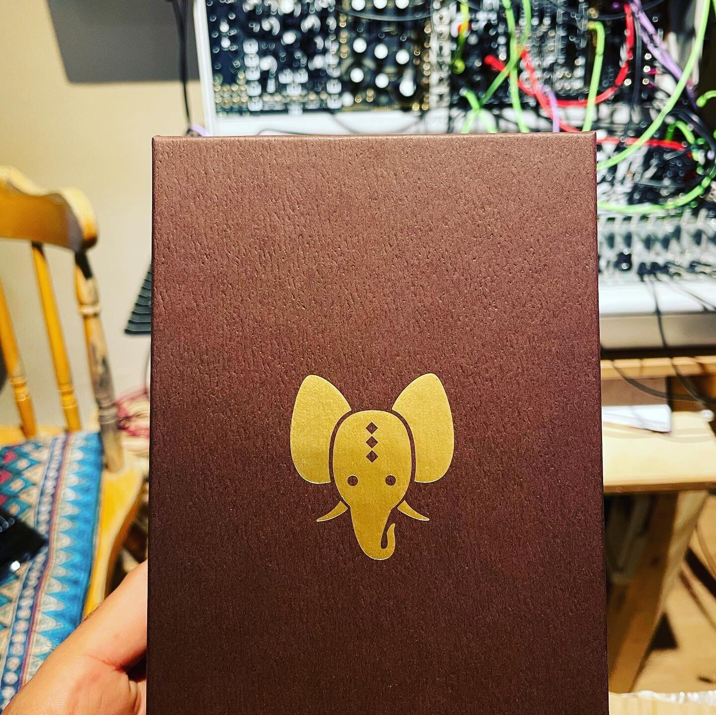 I have been waiting for it! Years of fantasy, let&rsquo;s hear what you can do :) #lpg #lowpassgate #rabidelephantnaturalgate #naturalgate #modular #eurorack #signalsounds