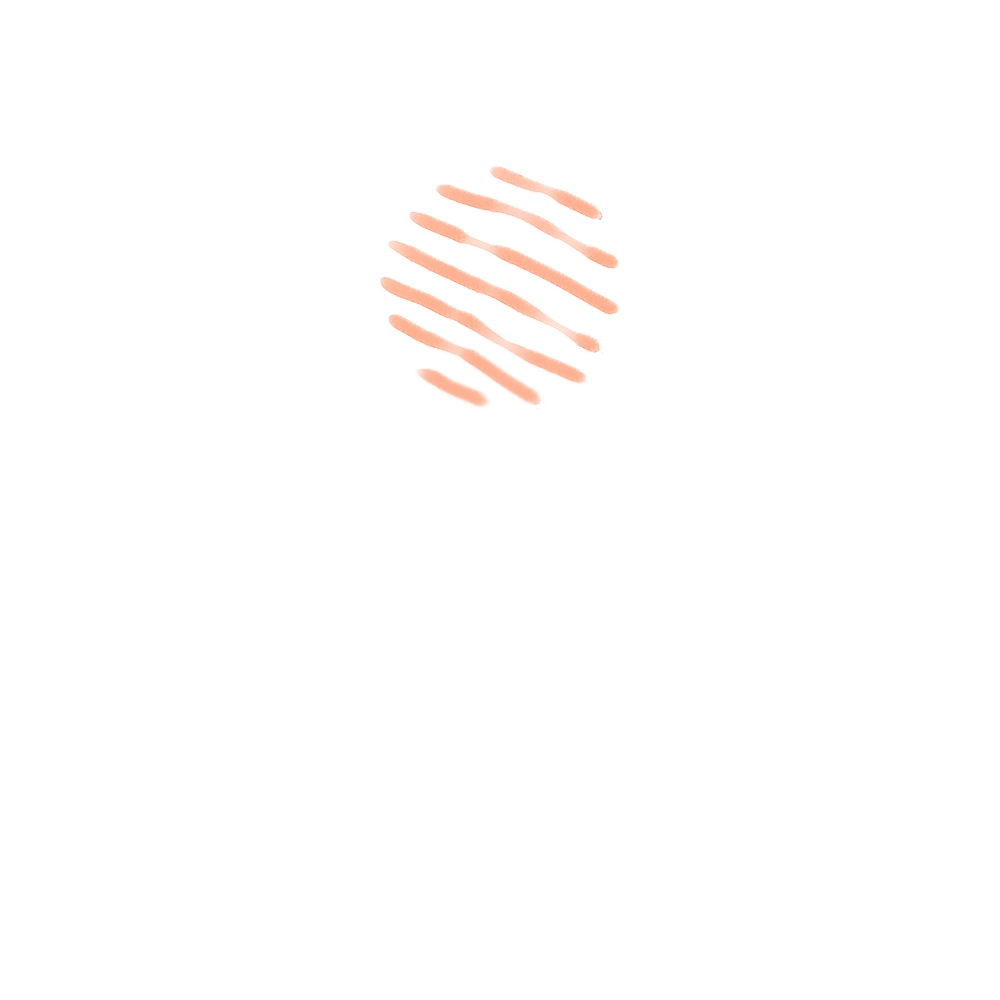 NBS Studio