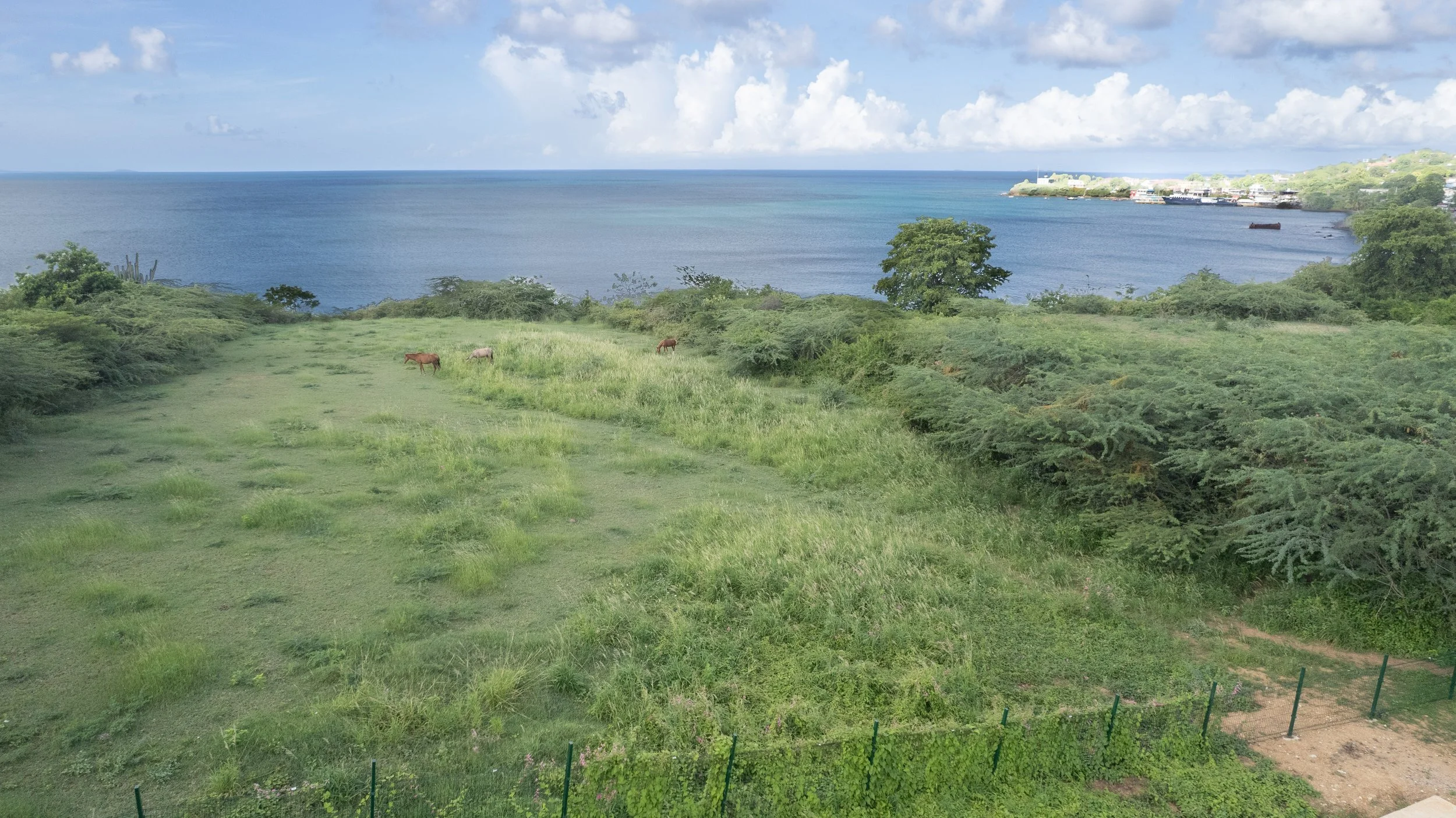 DJI_0186.jpg