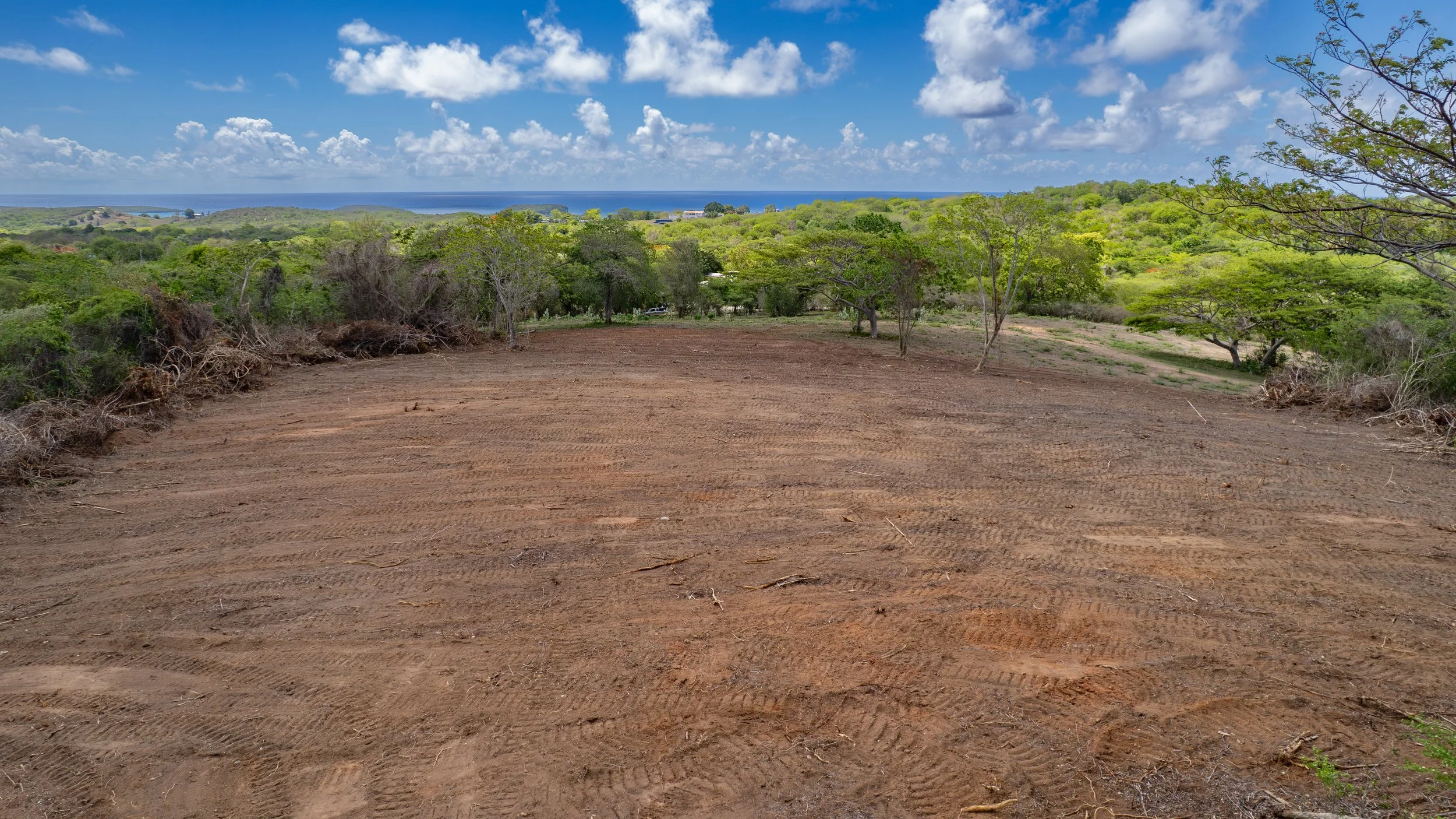 DJI_0746.jpg