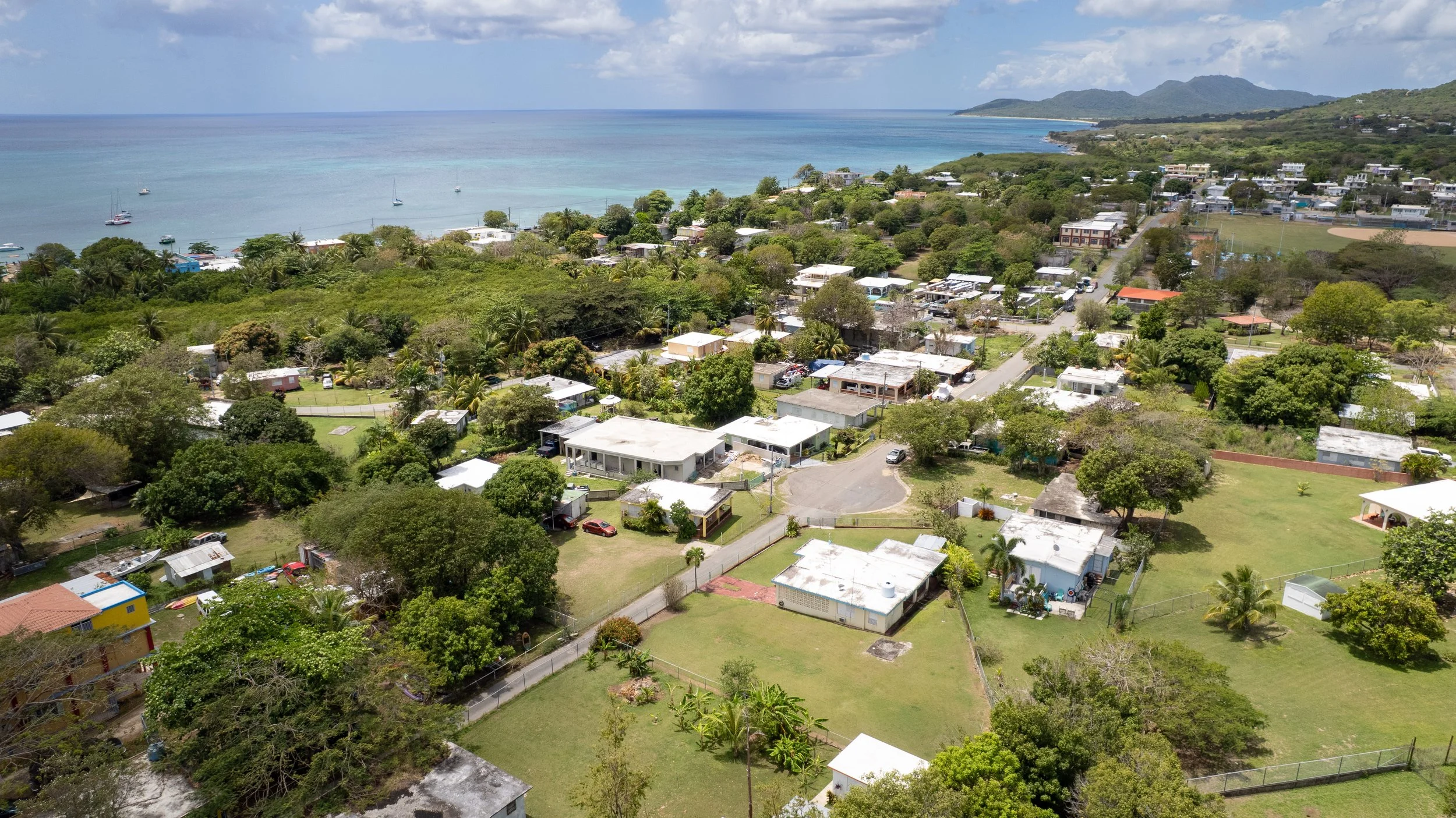 DJI_0012.jpg