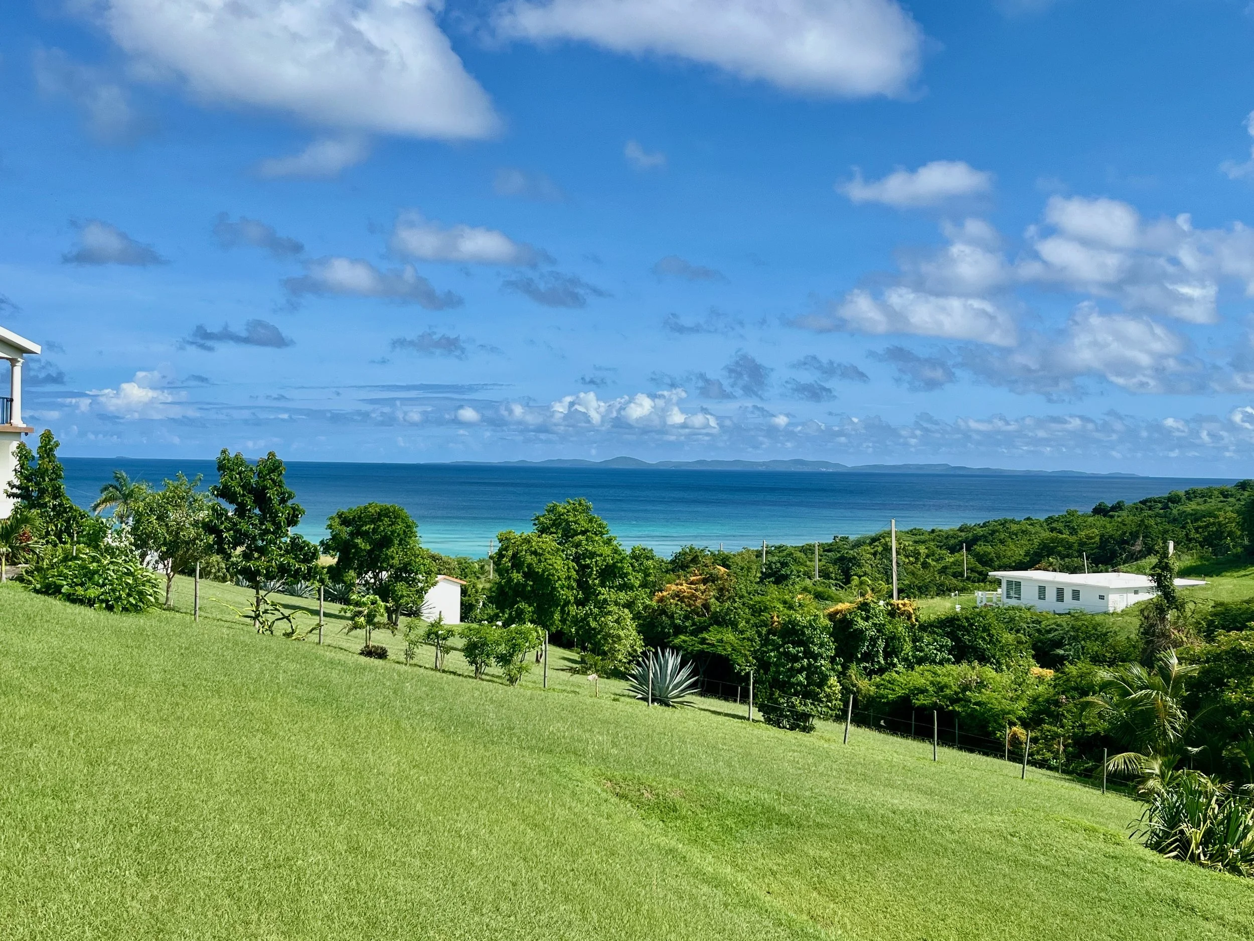 Lot 757 Bastimento, Vieques, PR - photo 6.jpeg