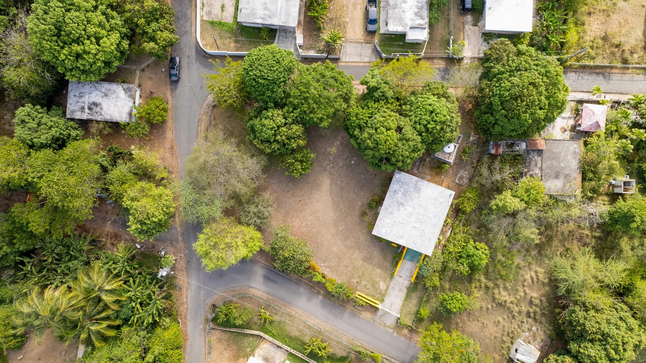 DJI_0710.jpg