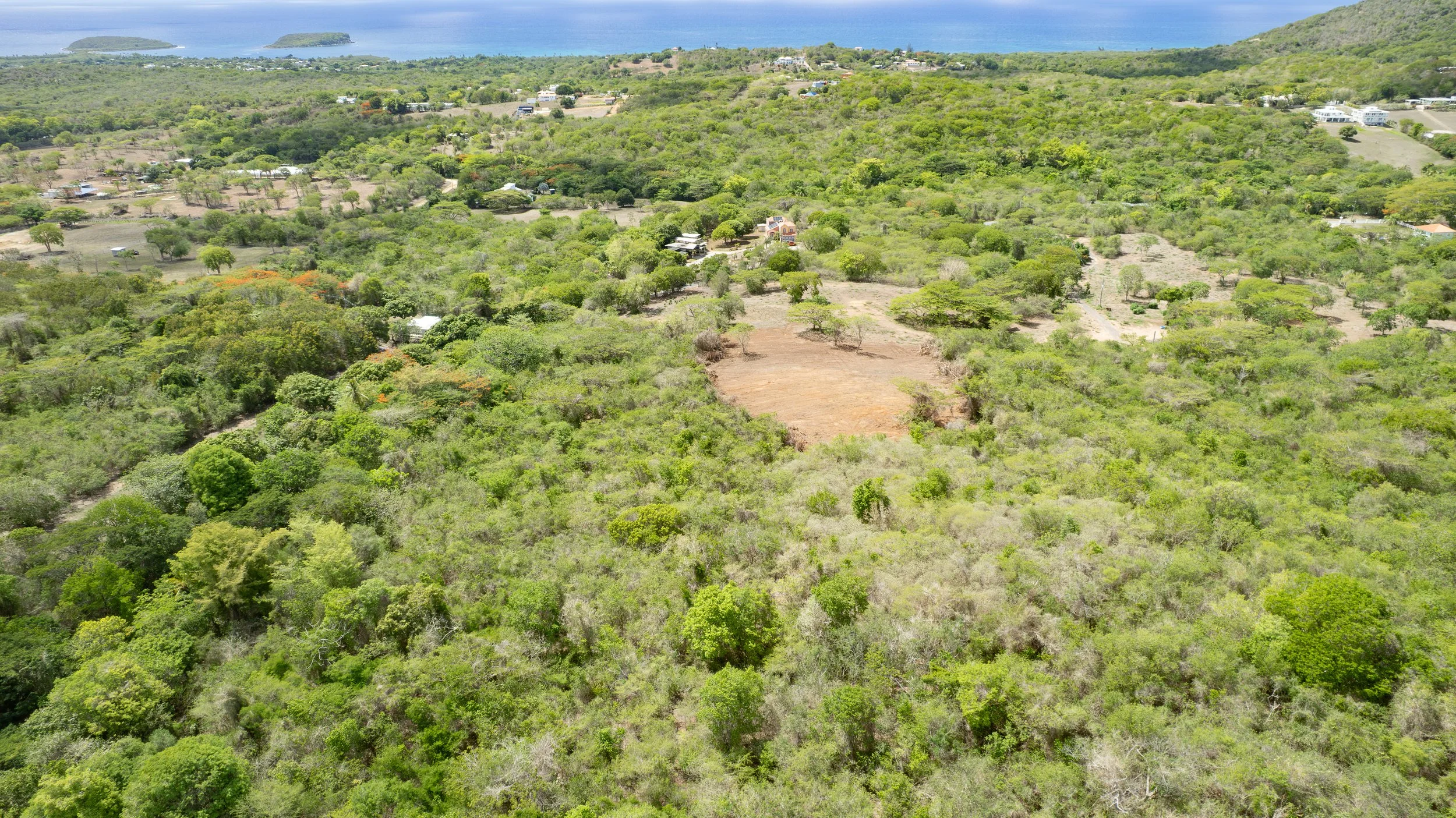 DJI_0736.jpg