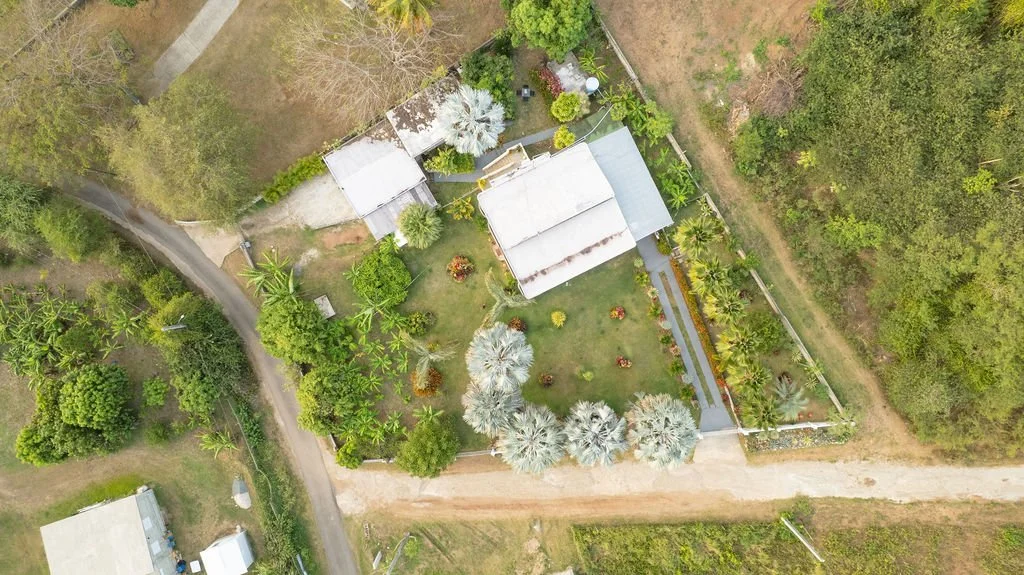 DJI_0687.jpg