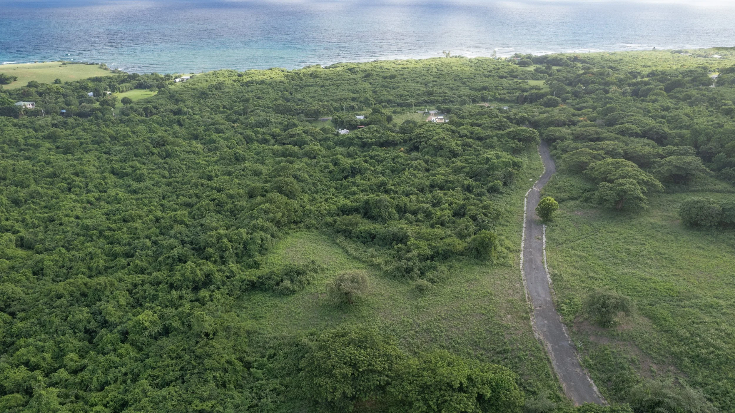 DJI_0210.jpg