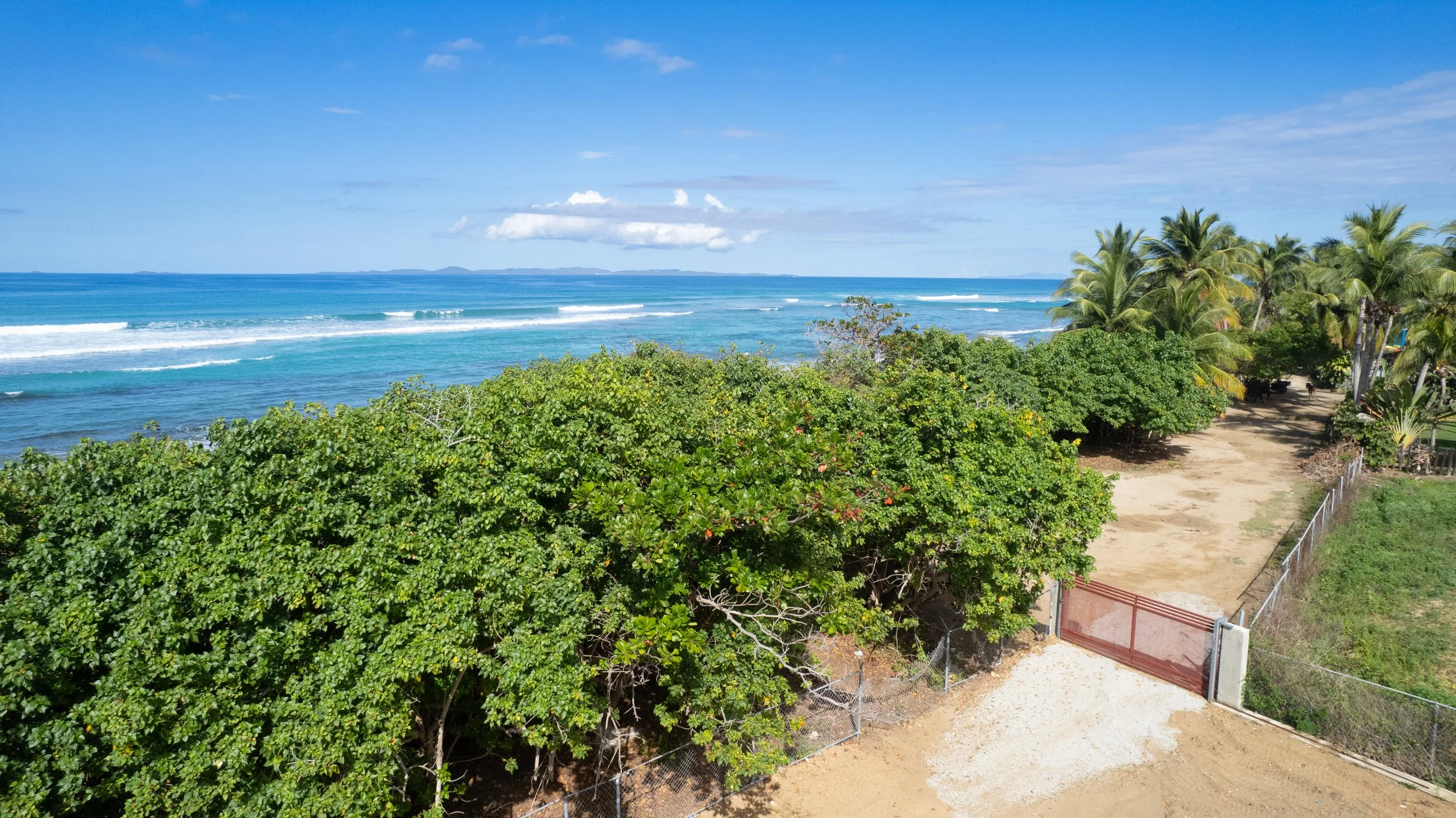 DJI_0136.jpg