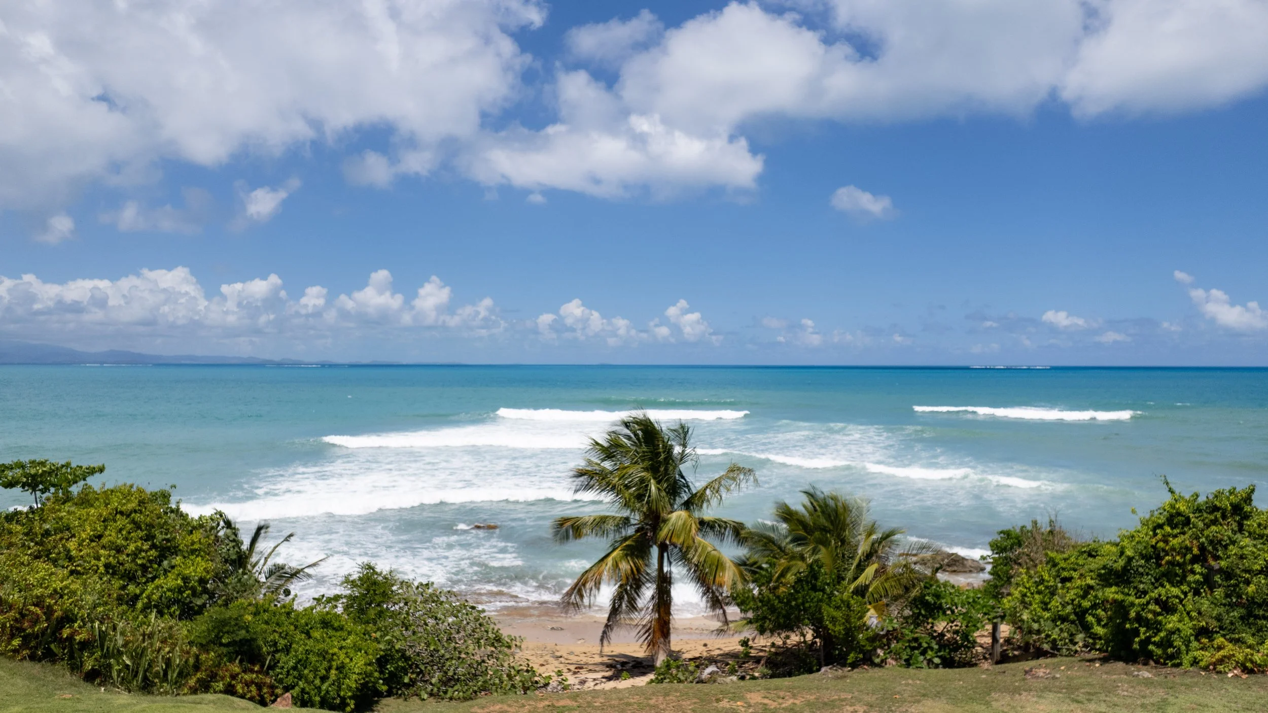 DanielFernandezPhotos_Vieques-2601-14.jpg