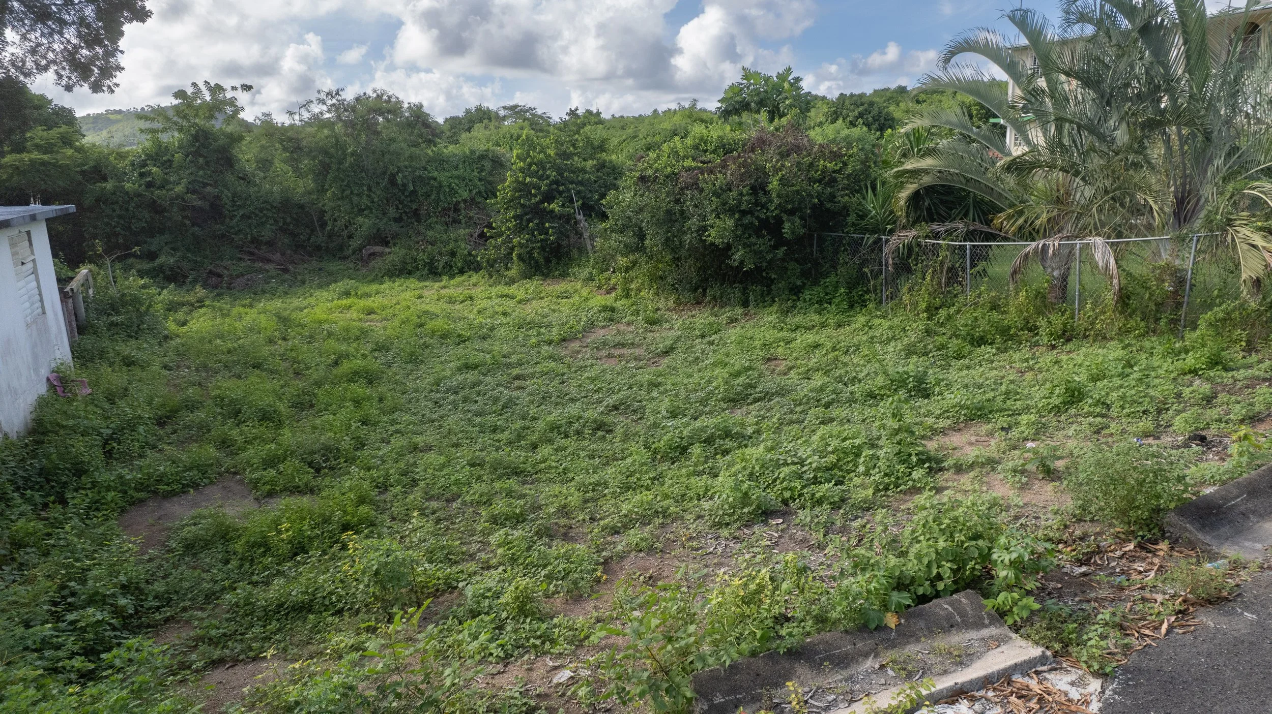 DJI_0192.jpg