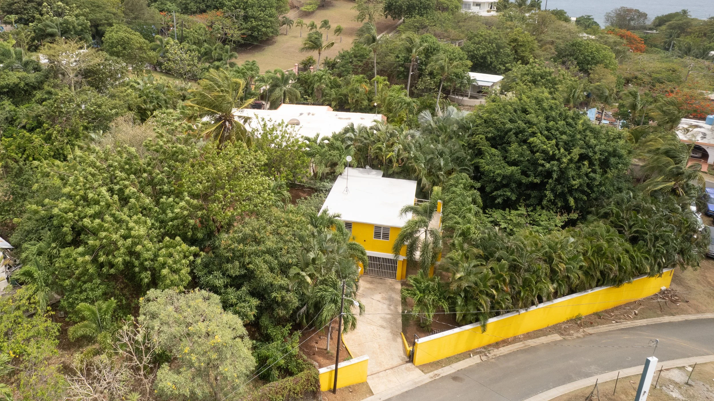 DJI_0790.jpg