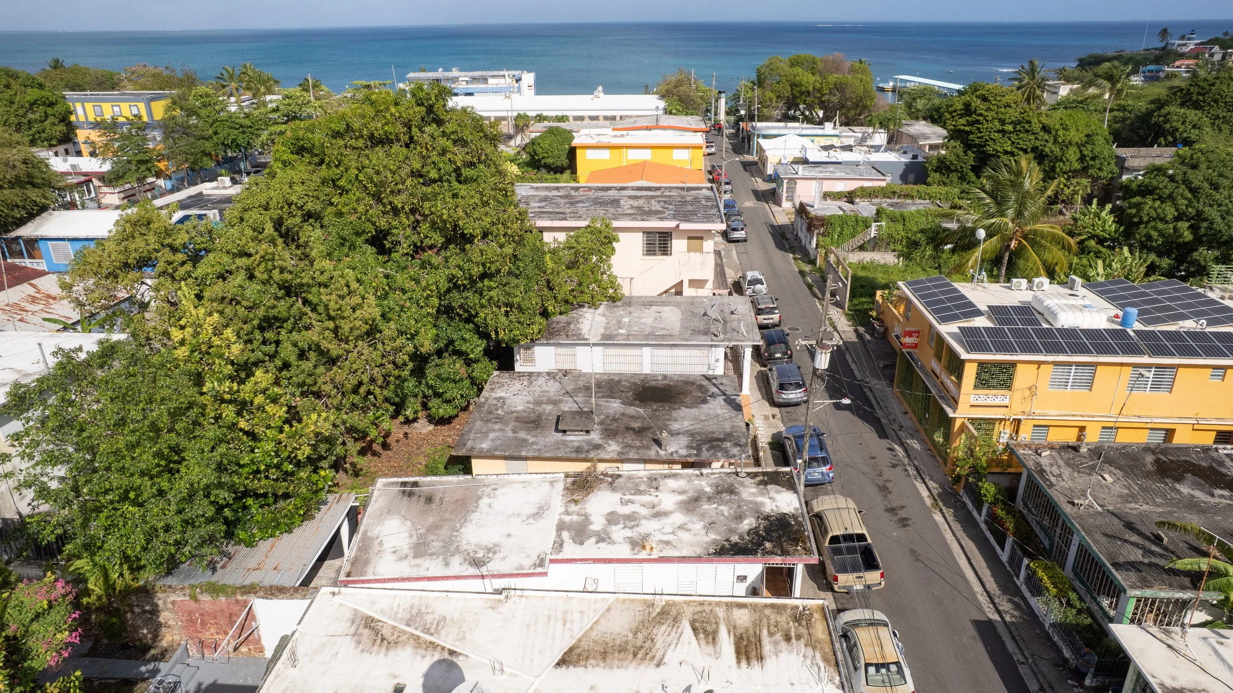 DJI_0558.jpg