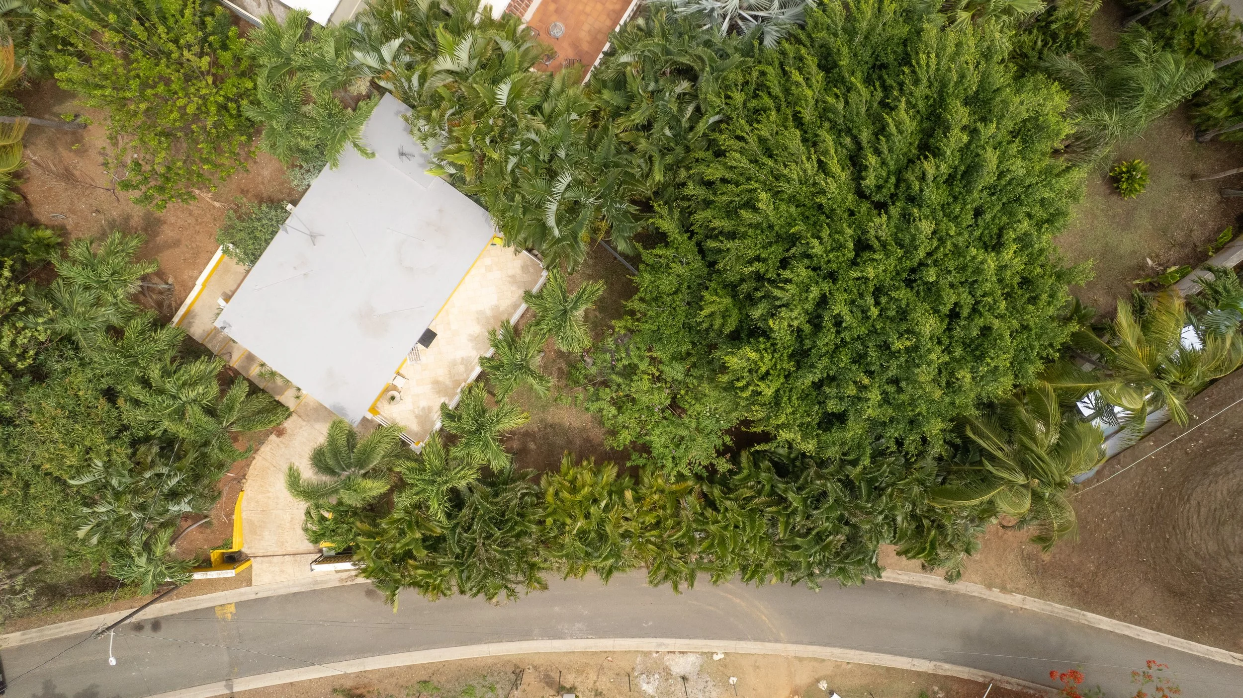 DJI_0786.jpg