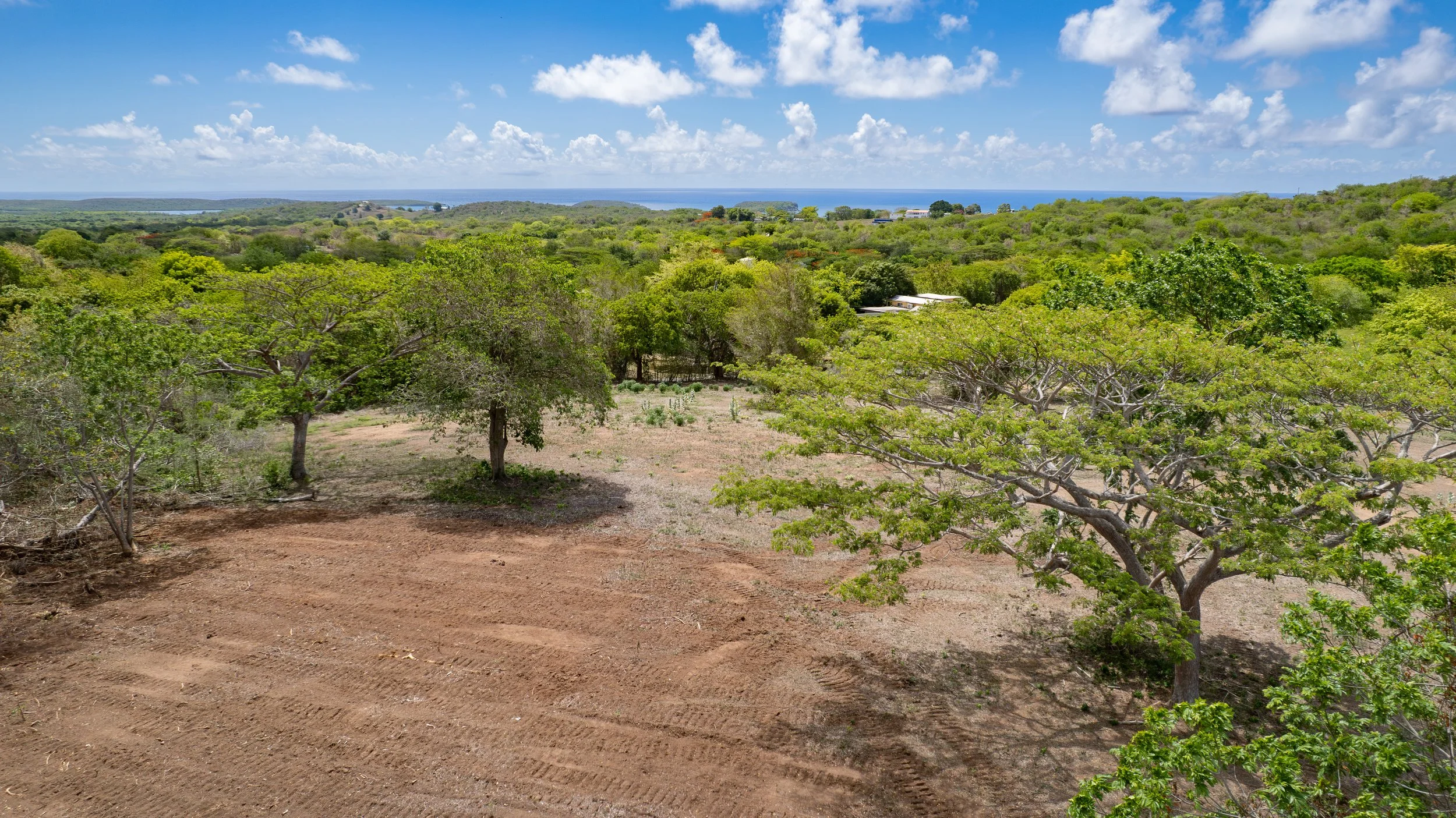 DJI_0744.jpg