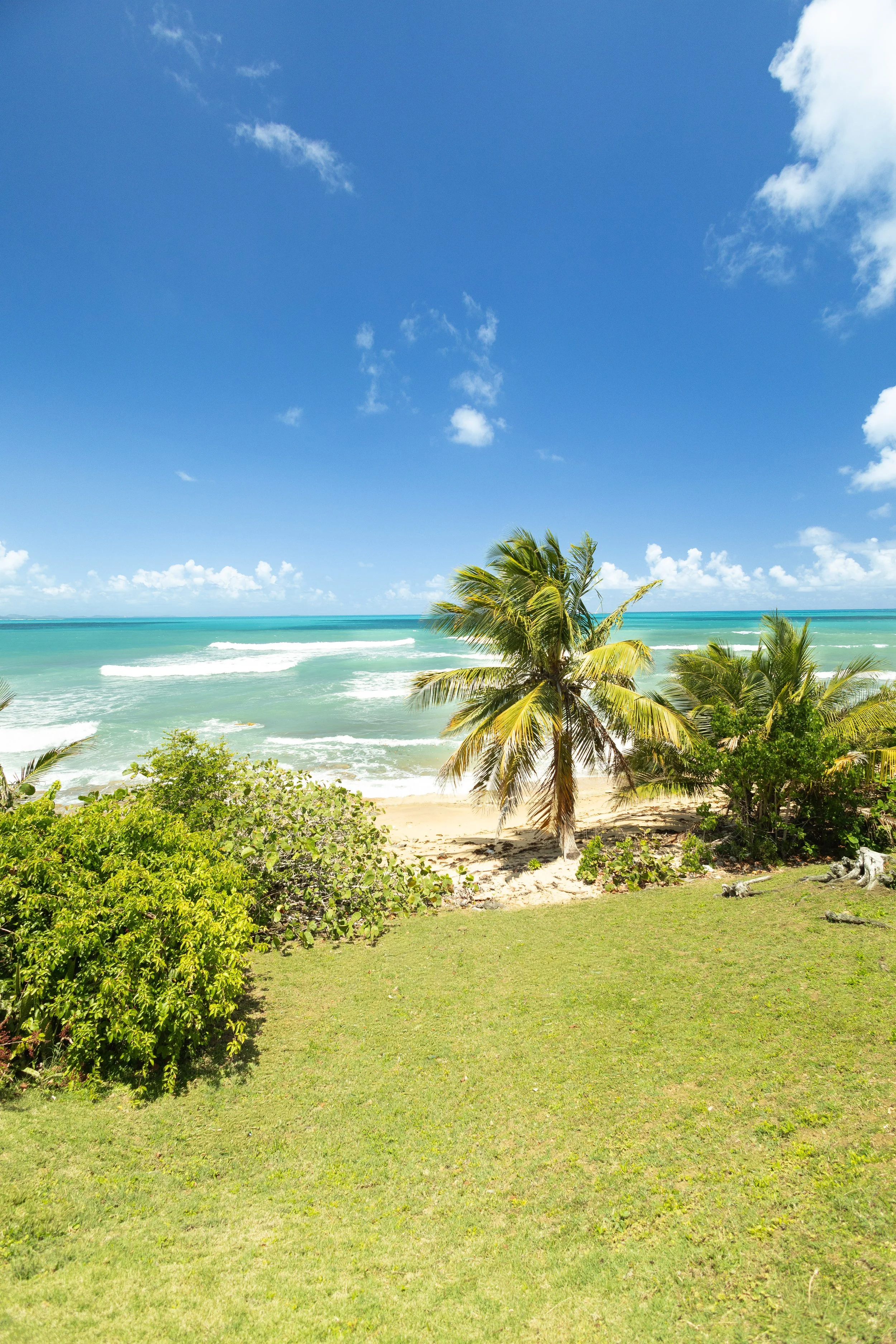 DanielFernandezPhotos_Vieques-2601-18.jpg