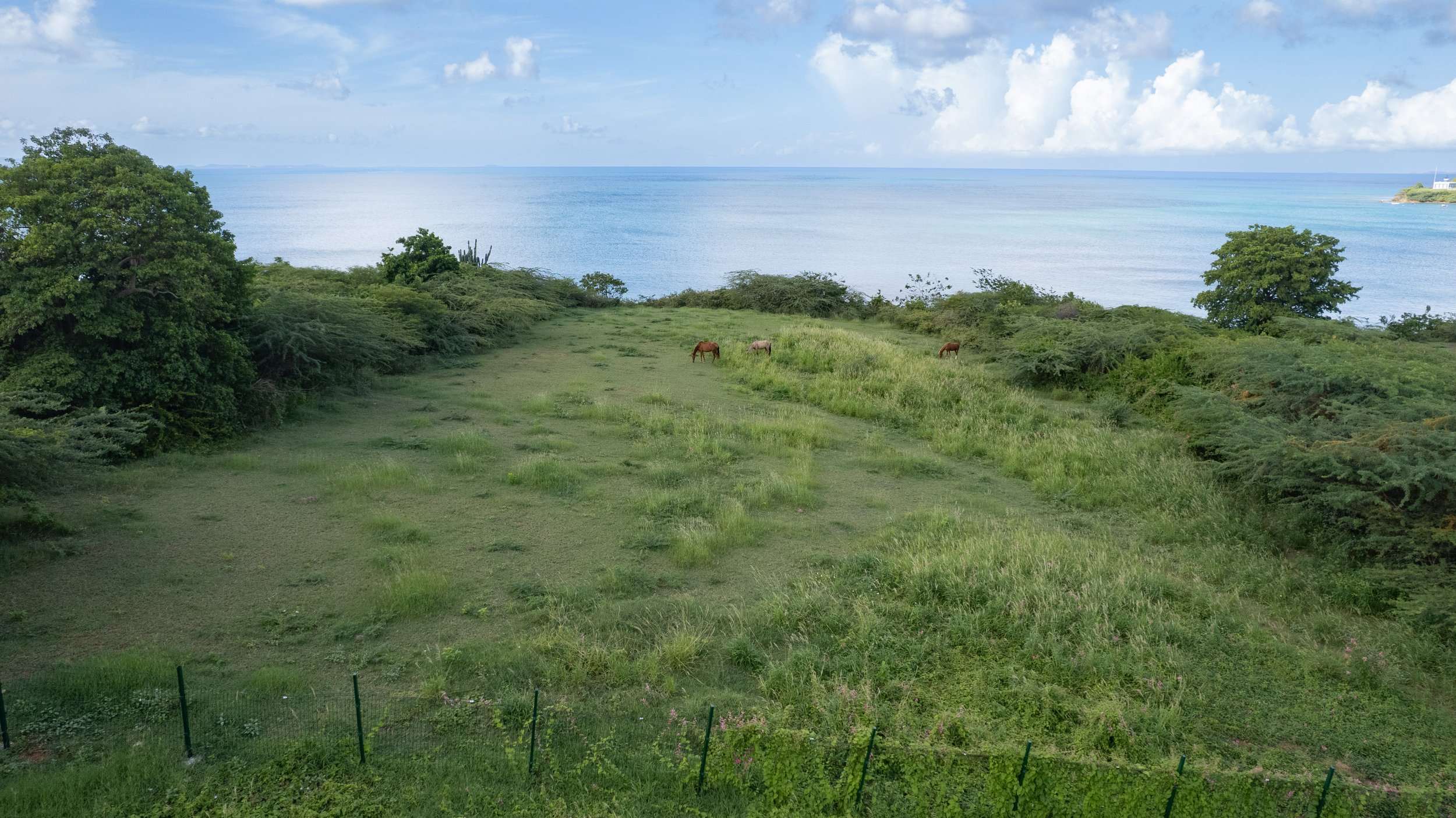 DJI_0185.jpg