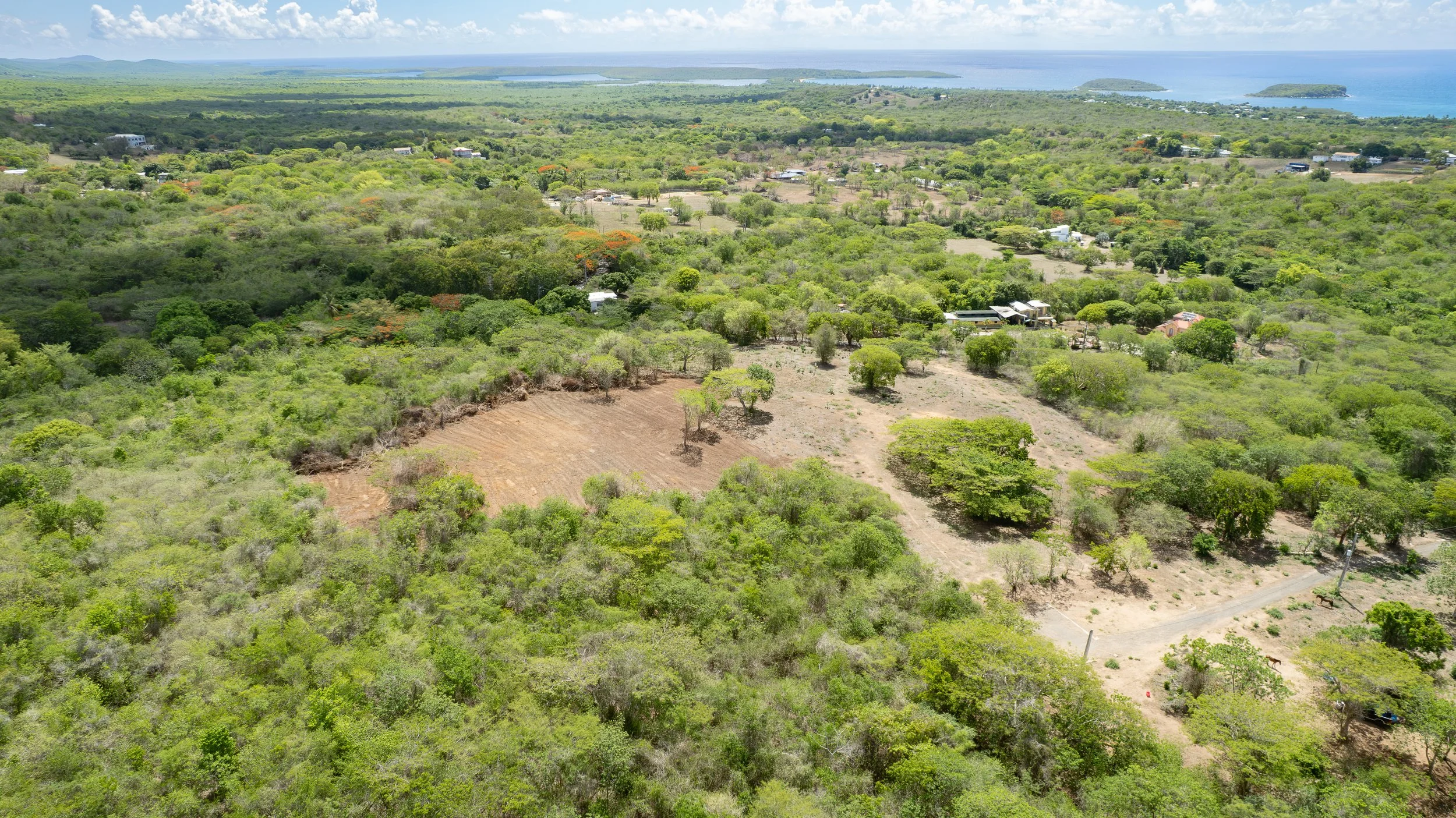 DJI_0728.jpg