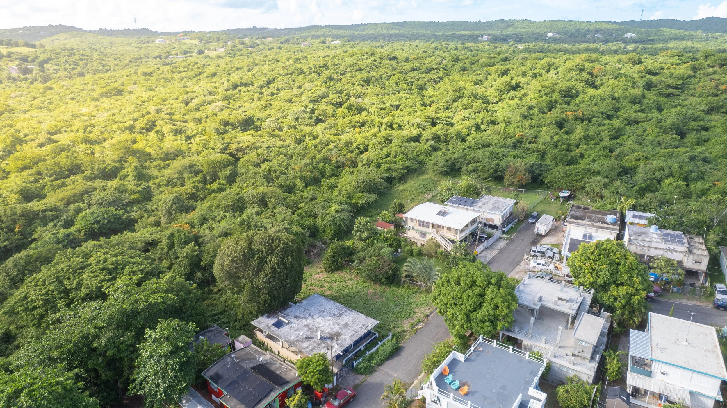 DJI_0200.jpg