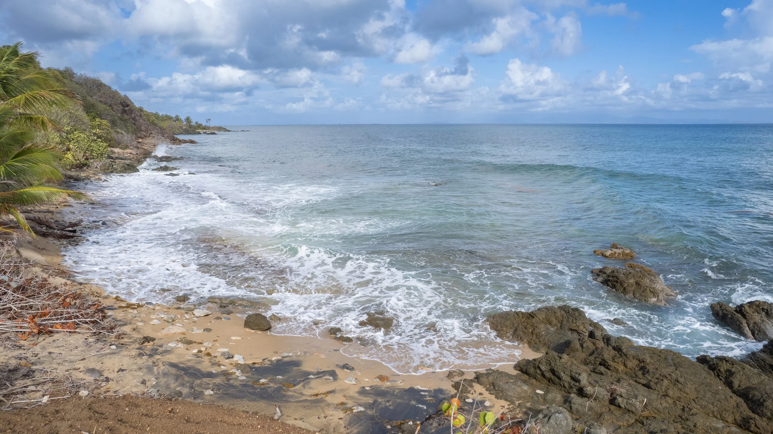 DJI_0009.jpg