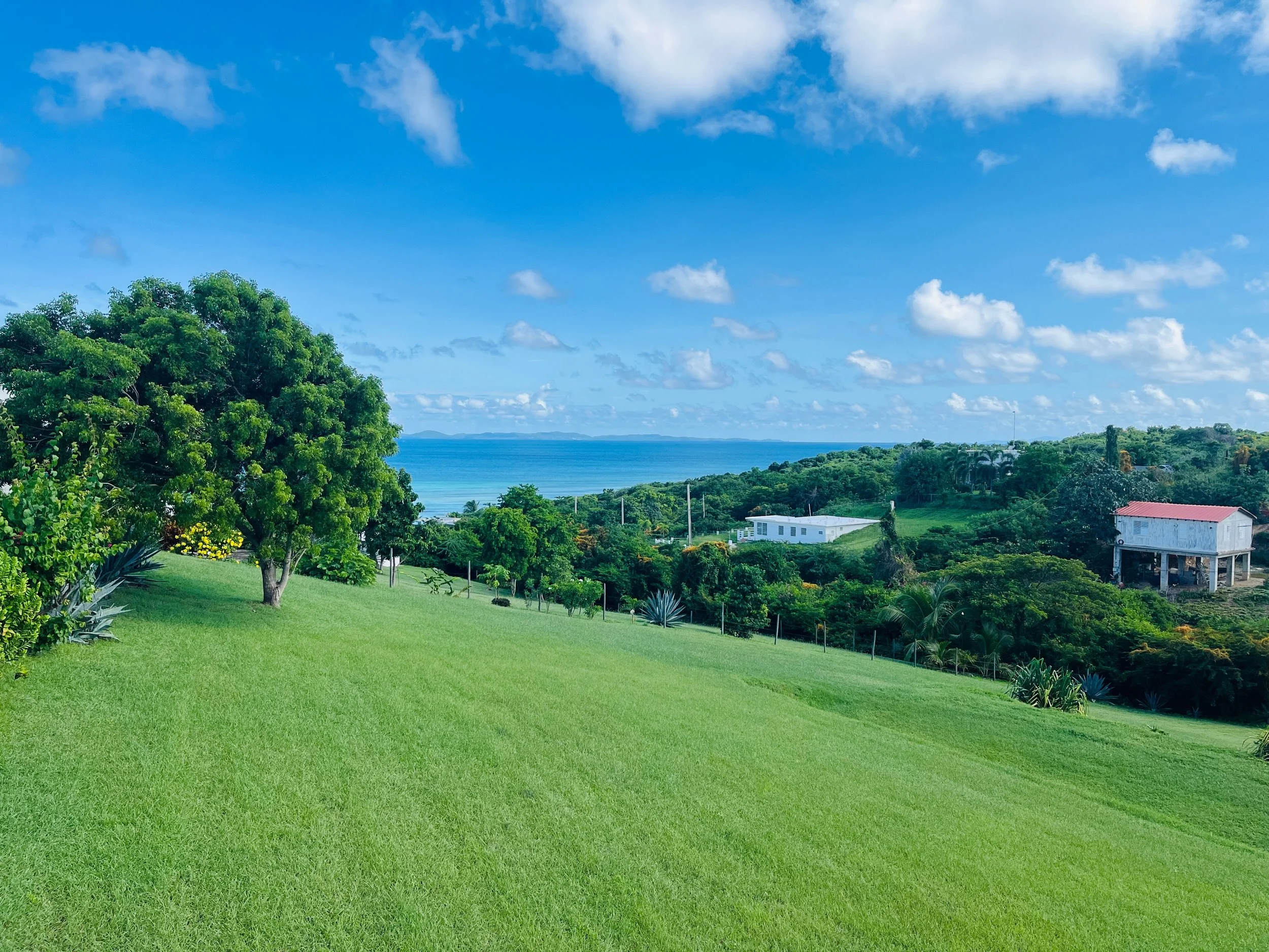 Lot 757 Bastimento, Vieques, PR - photo 10.jpeg