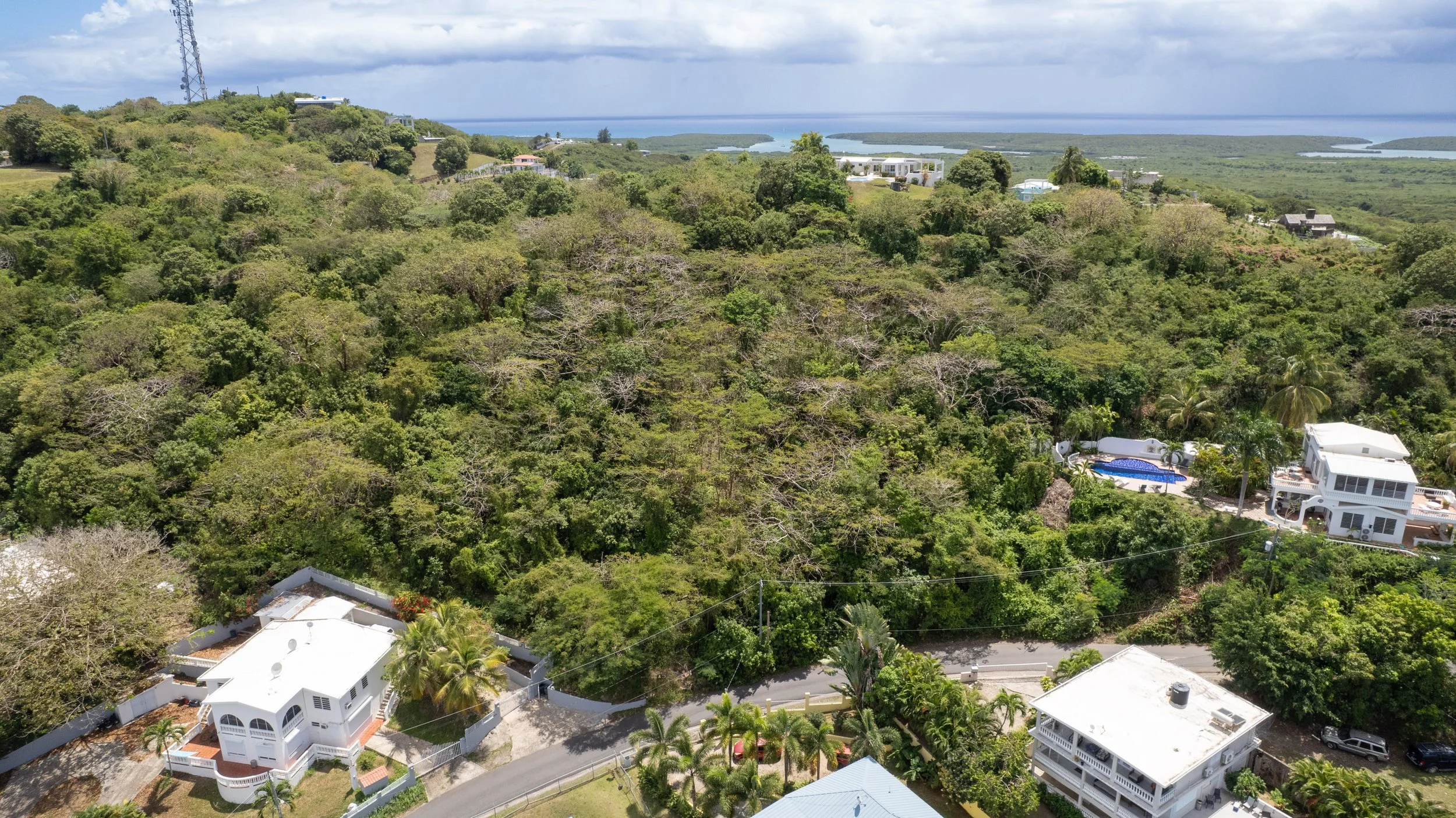 Tres Chivos, Los Chivos · $250,000