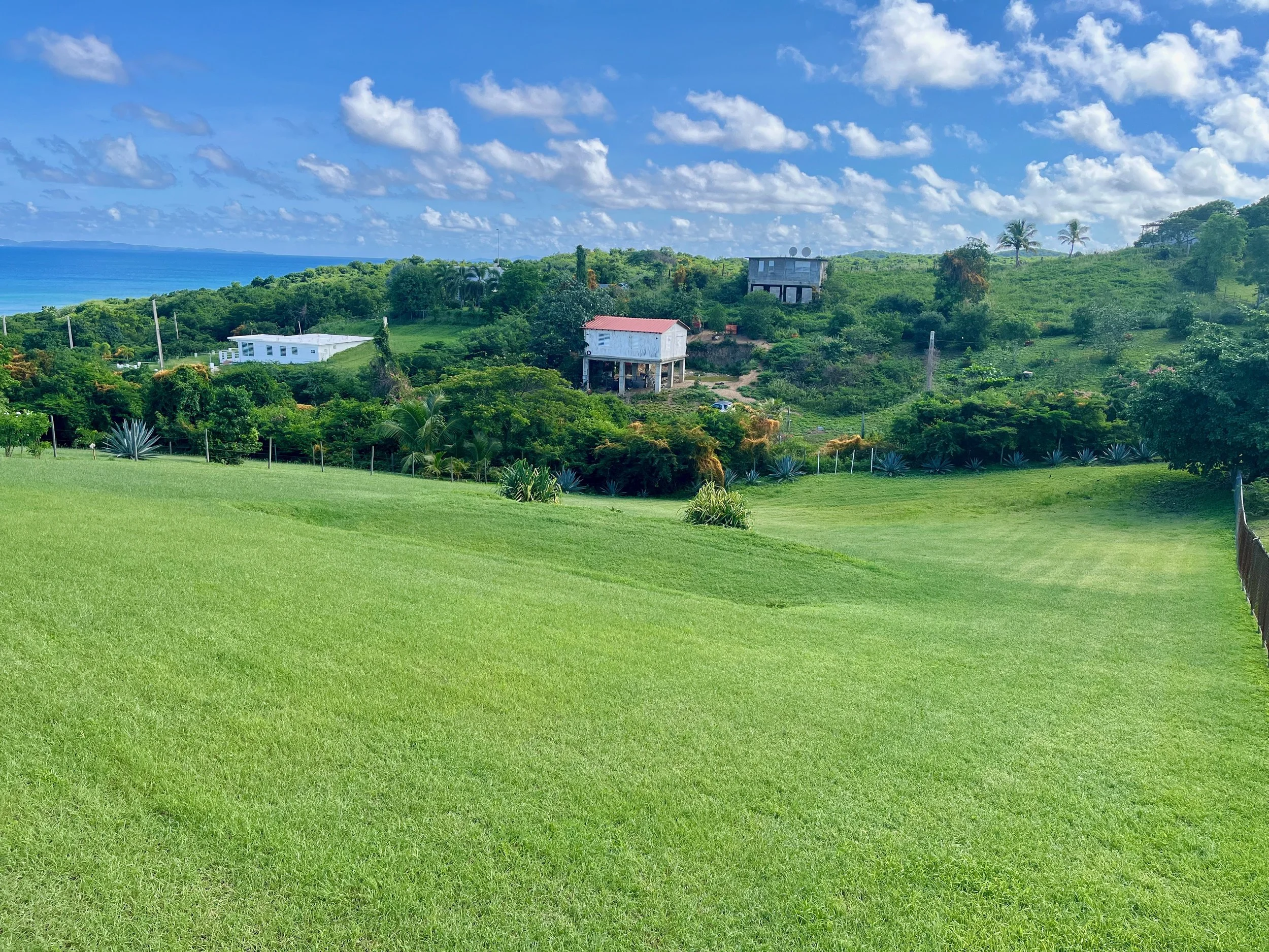 Lot 757 Bastimento, Vieques, PR - photo 4.jpeg