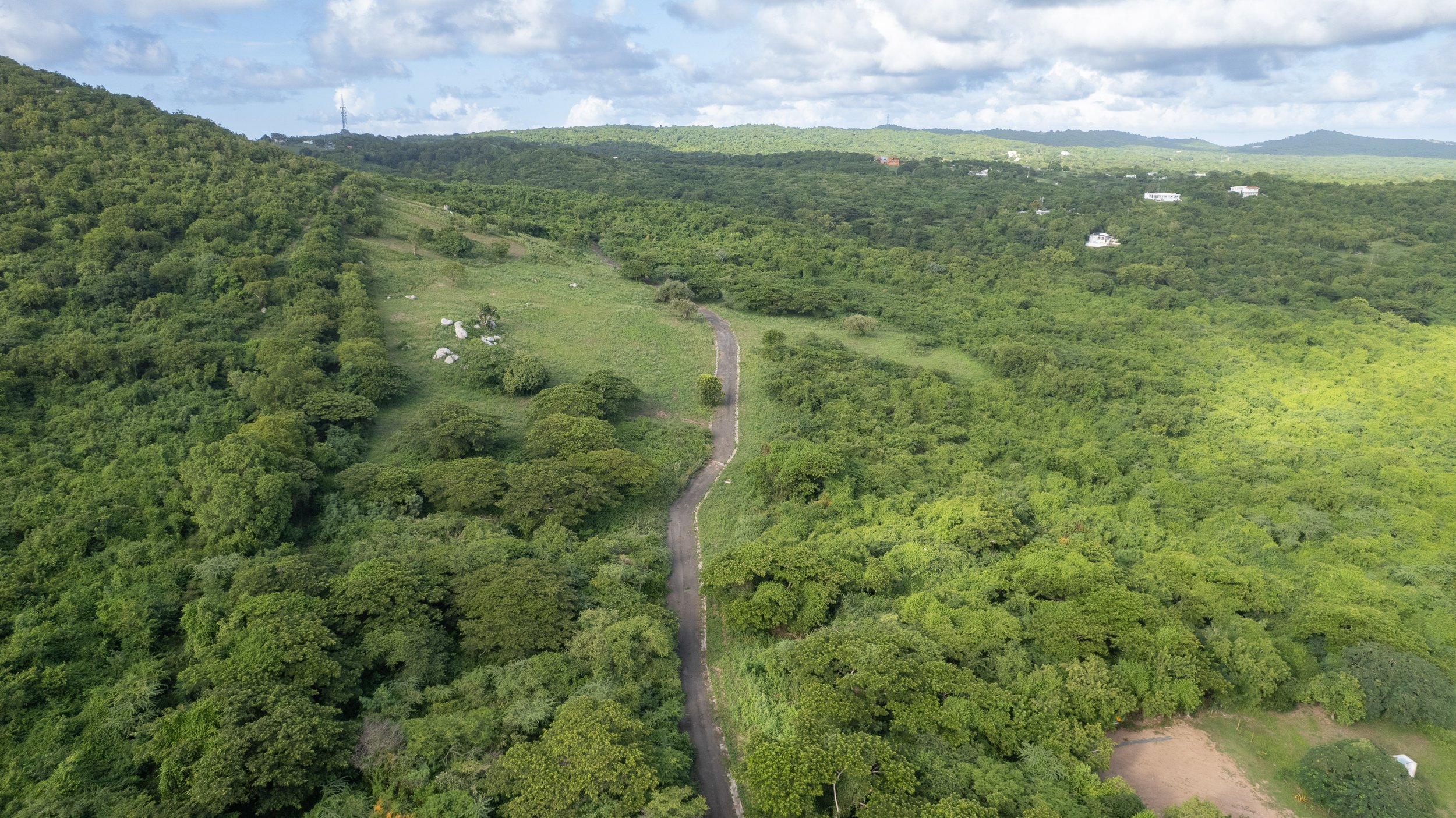 DJI_0217.jpg