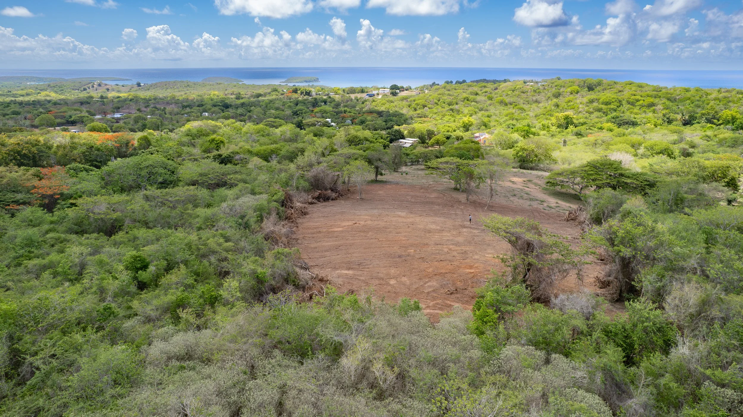 DJI_0747.jpg