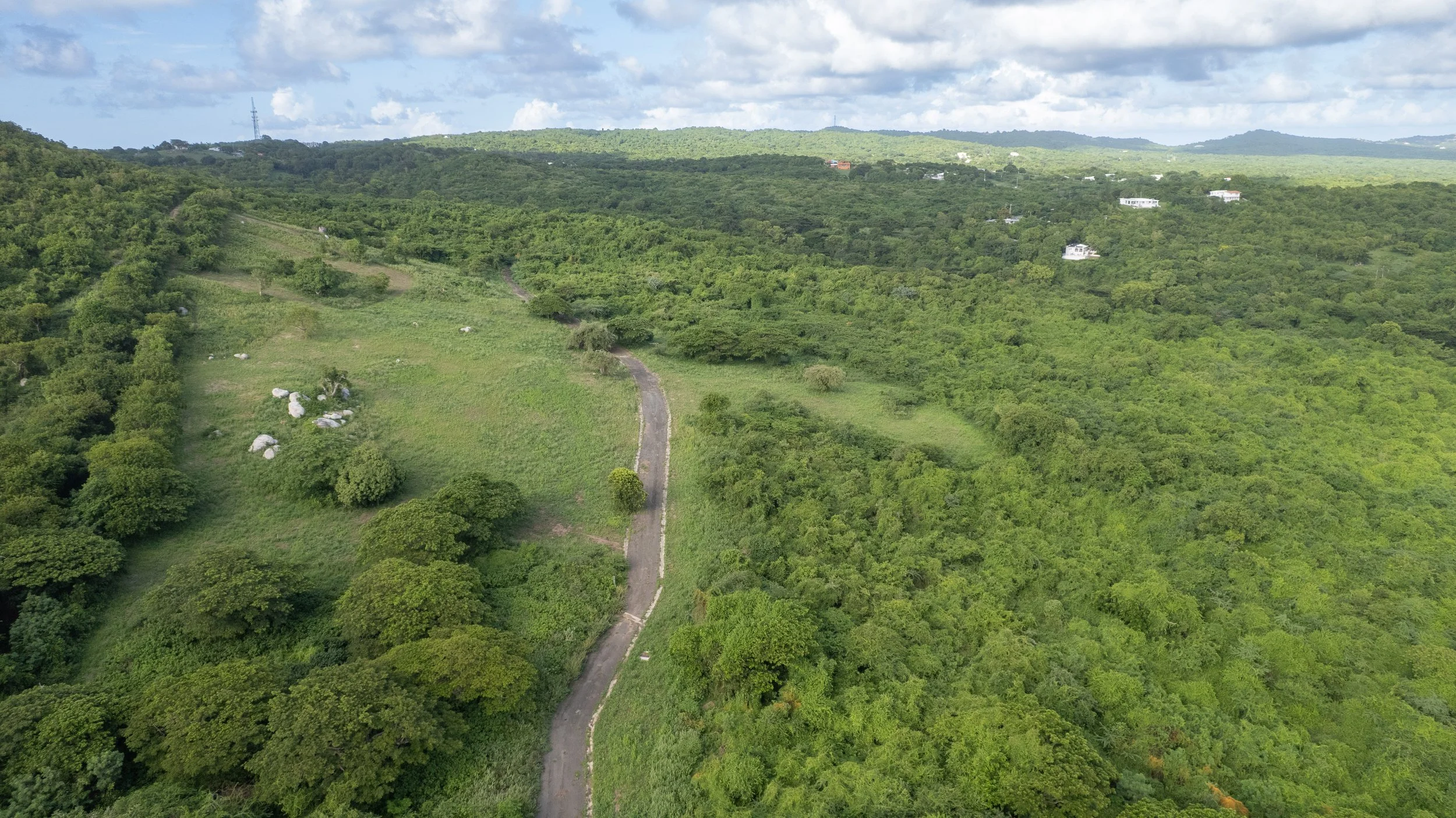 DJI_0216.jpg