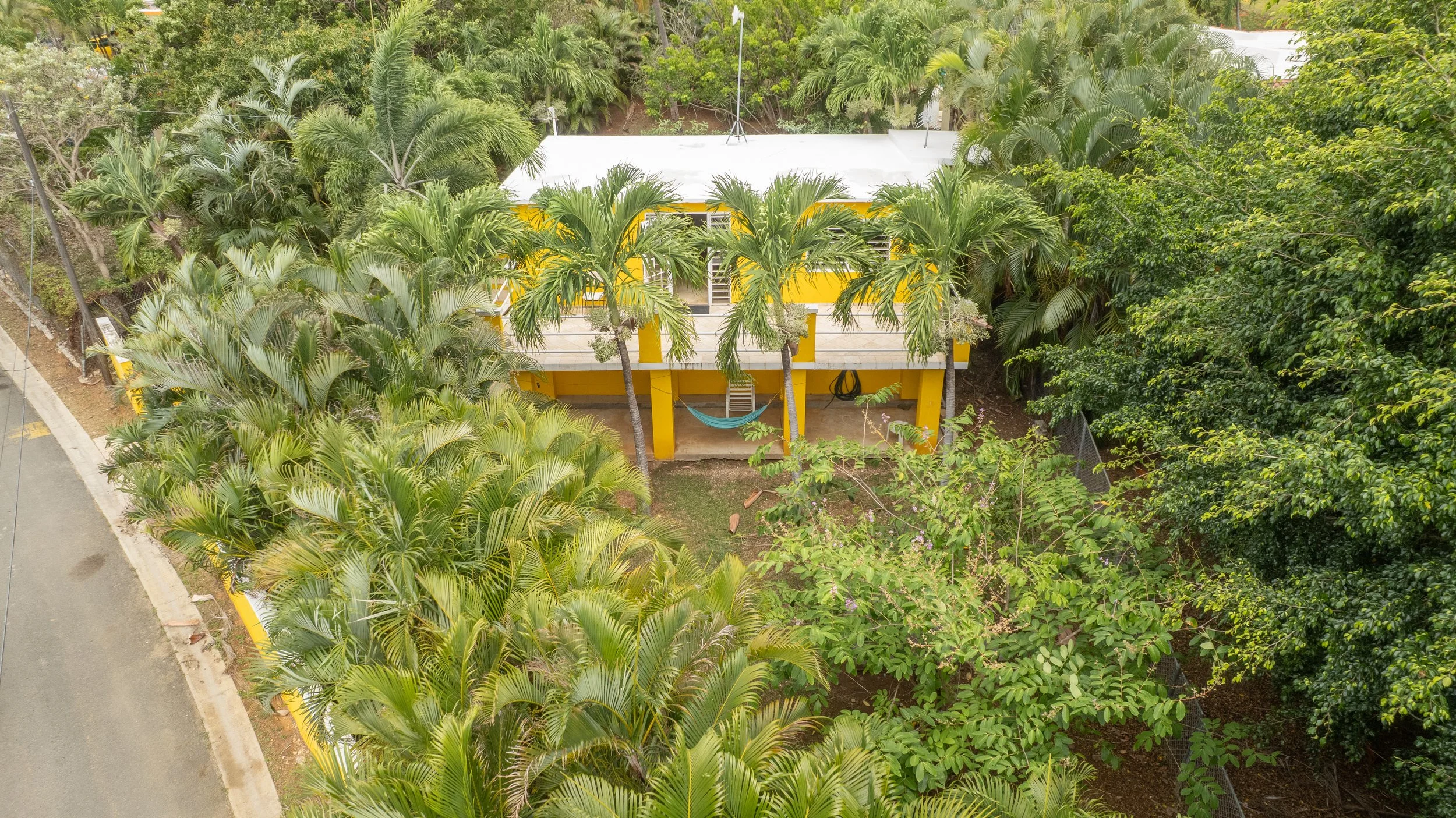 DJI_0787.jpg