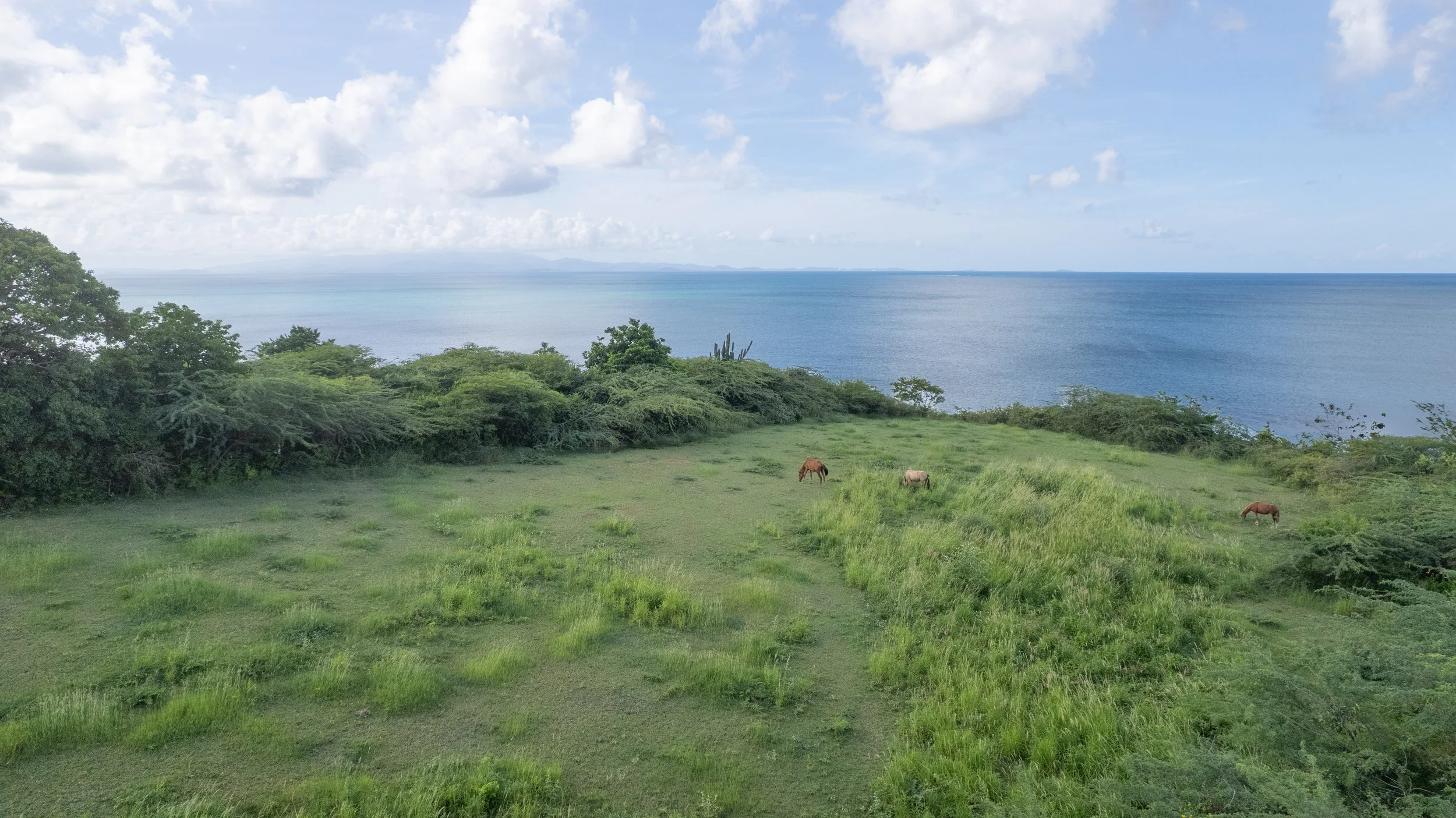 DJI_0187.jpg