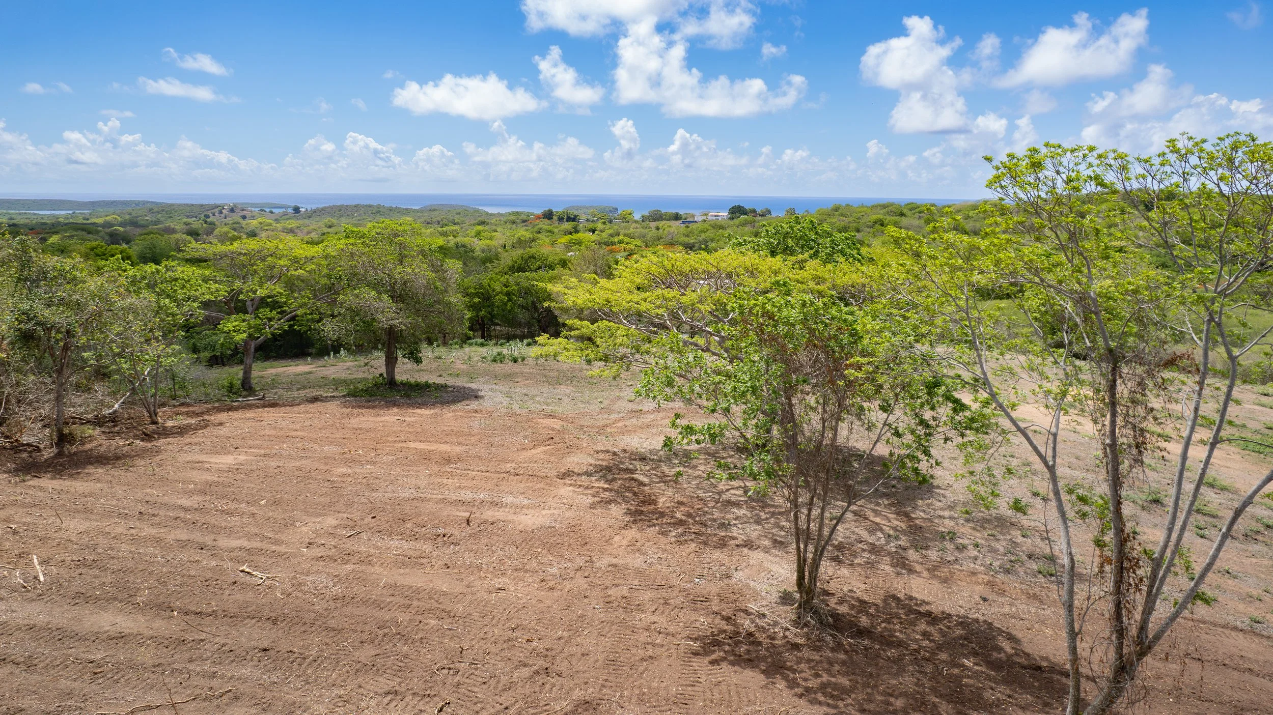 DJI_0745.jpg